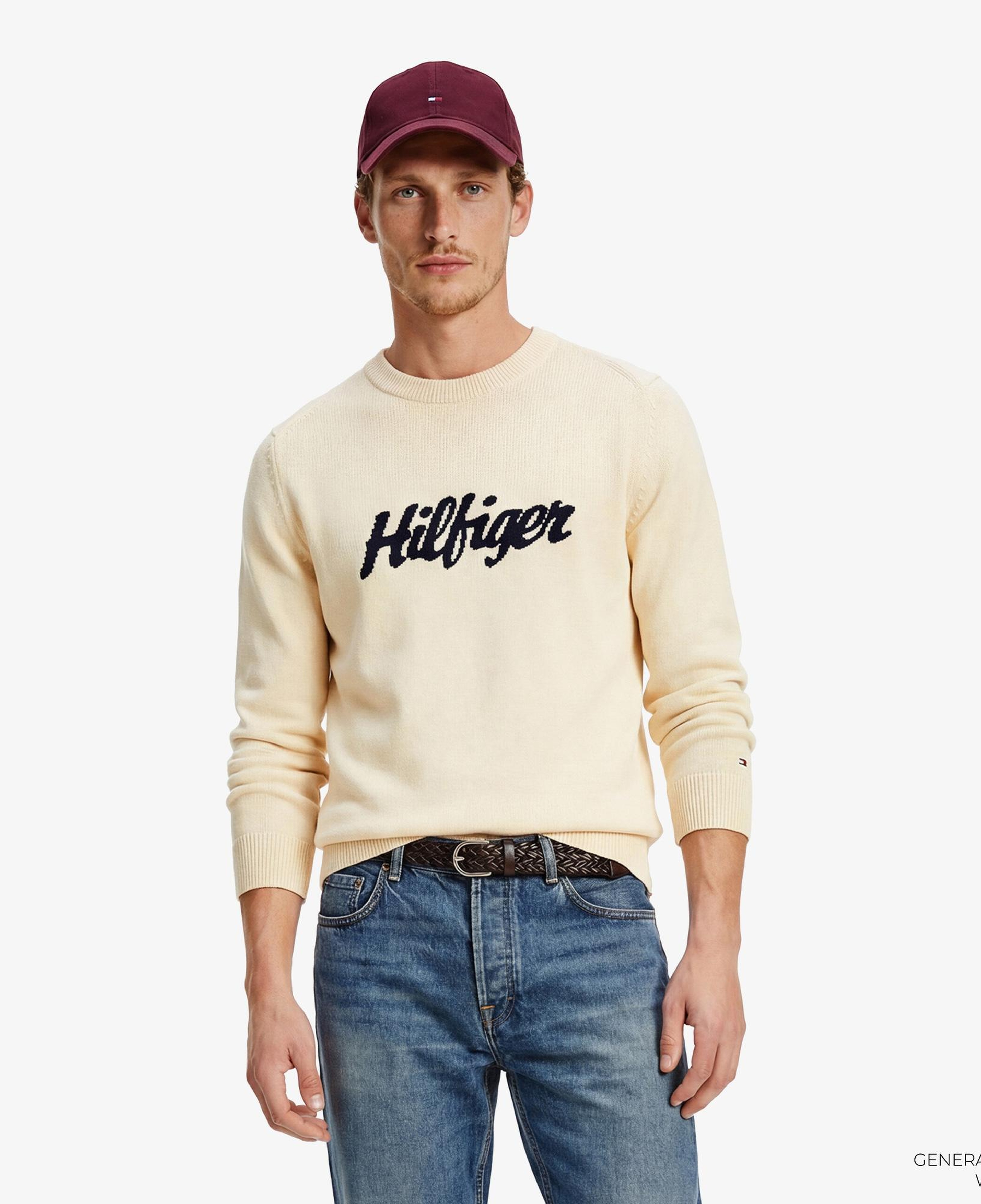 Tommy Hilfiger Seasonal Graphic Erkek Bej Triko