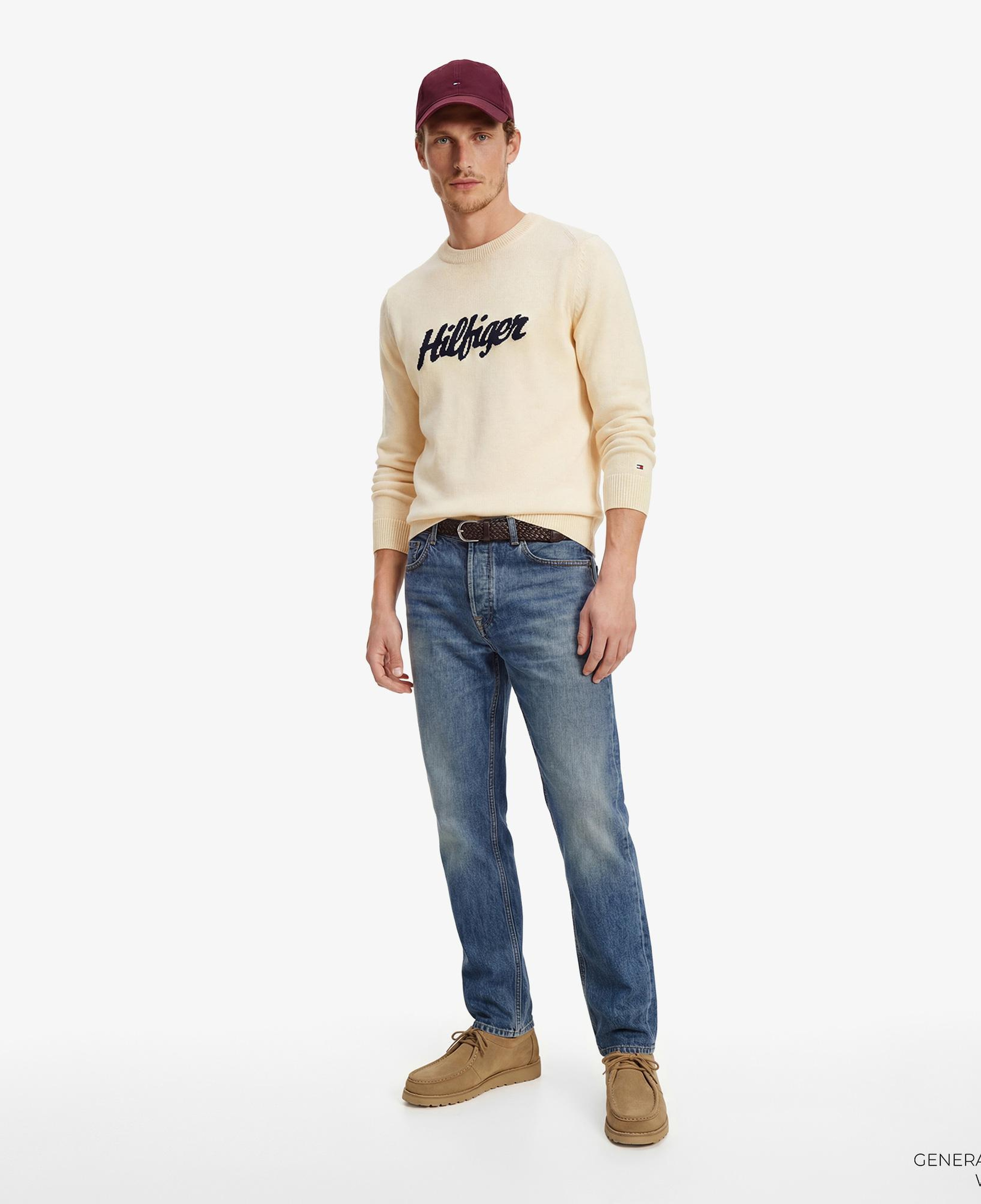 Tommy Hilfiger Seasonal Graphic Erkek Bej Triko