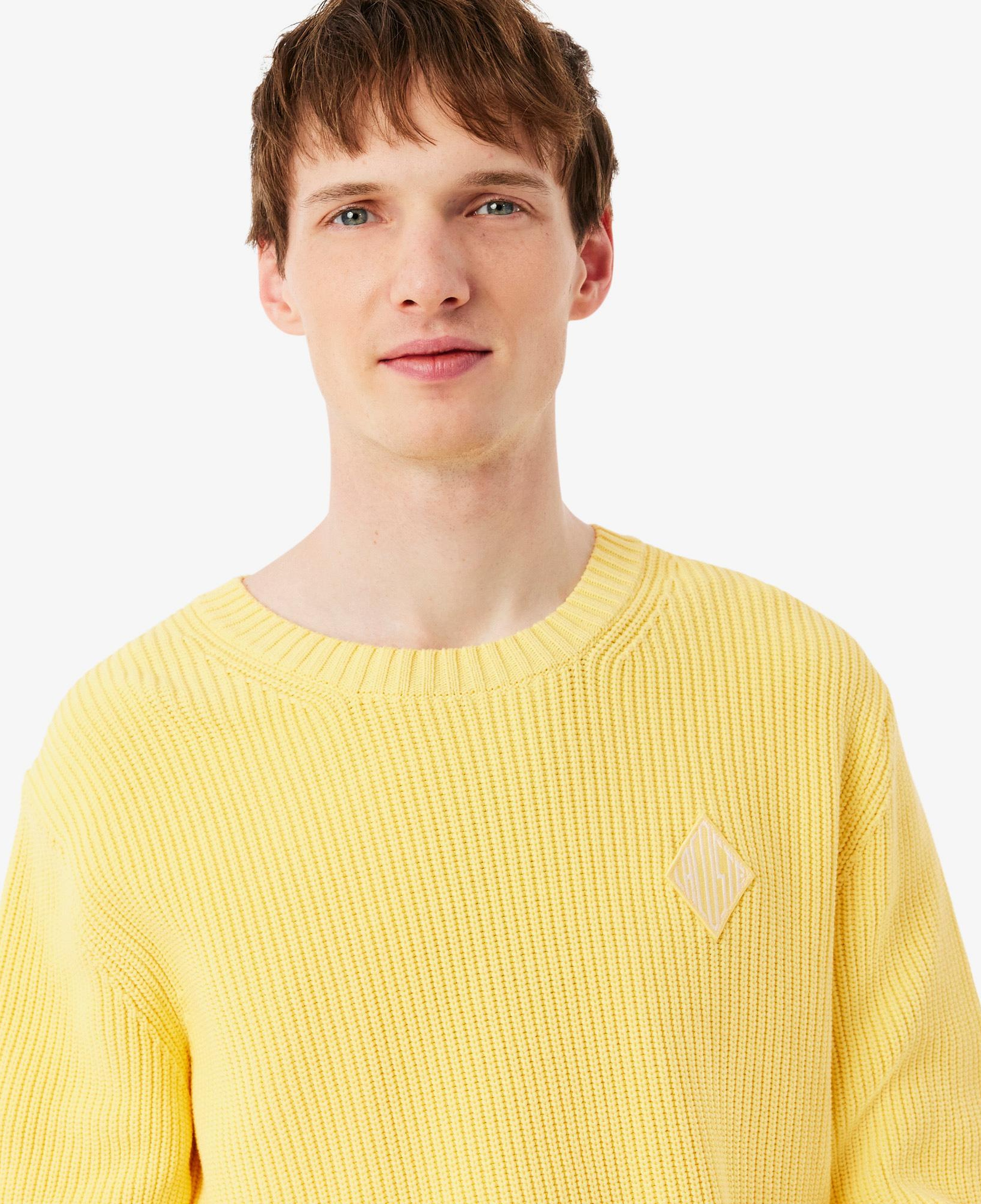 Lacoste Erkek Classic Fit Bisiklet Yaka Sarı Kazak