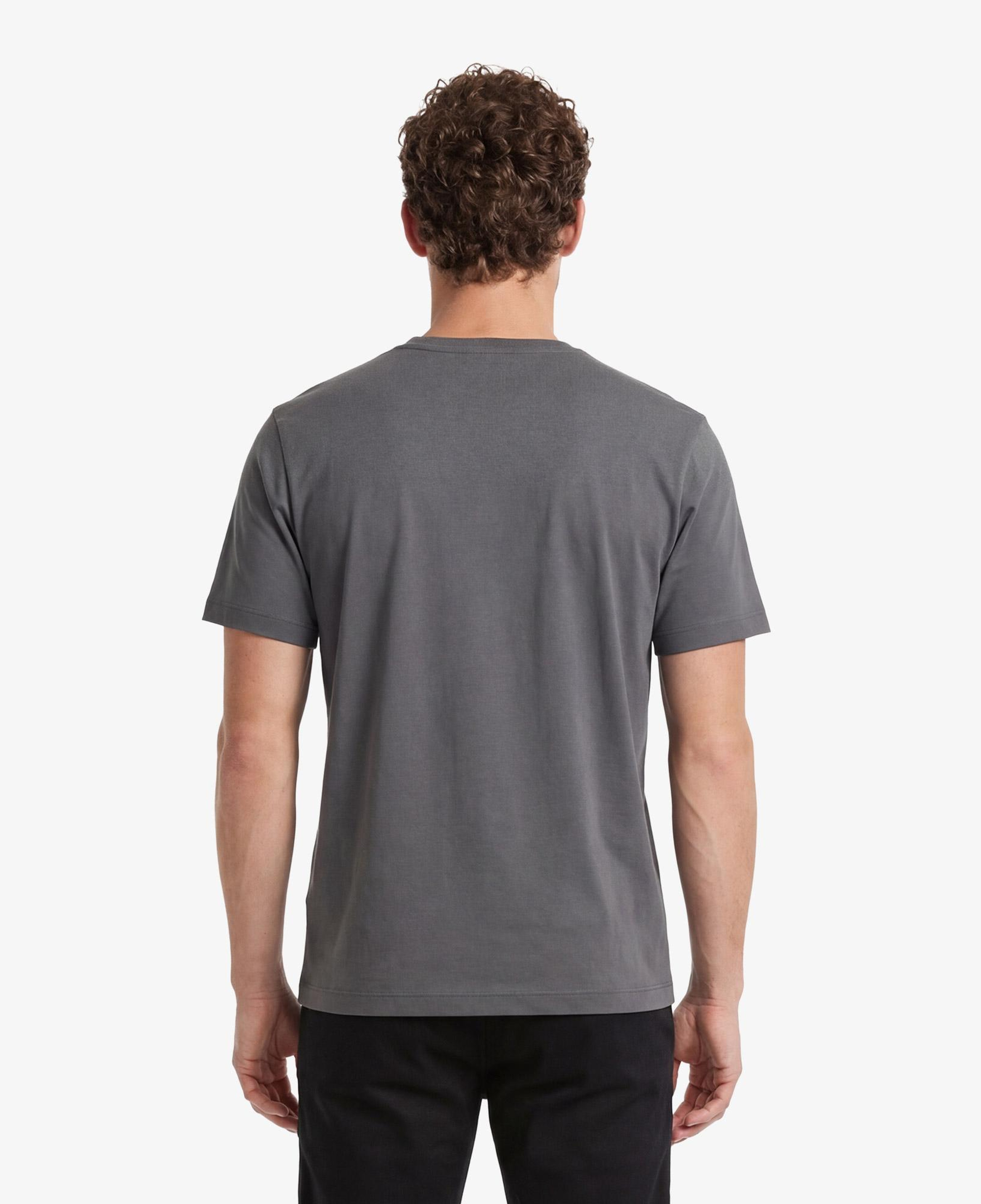 Nautica Erkek Gri Regular Fit T-Shirt