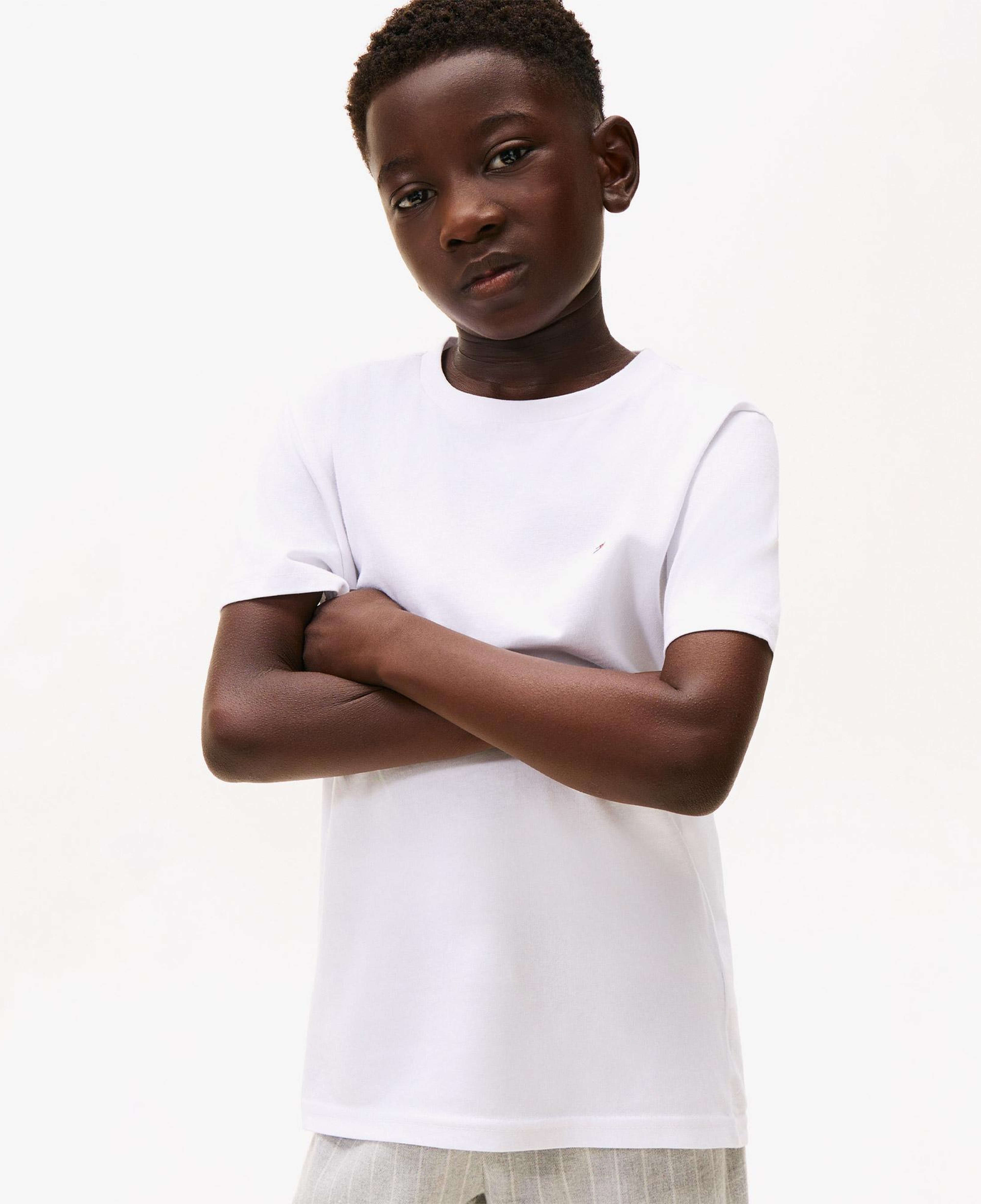 Tommy Hilfiger Signature Ess Çocuk Renkli T-Shirt