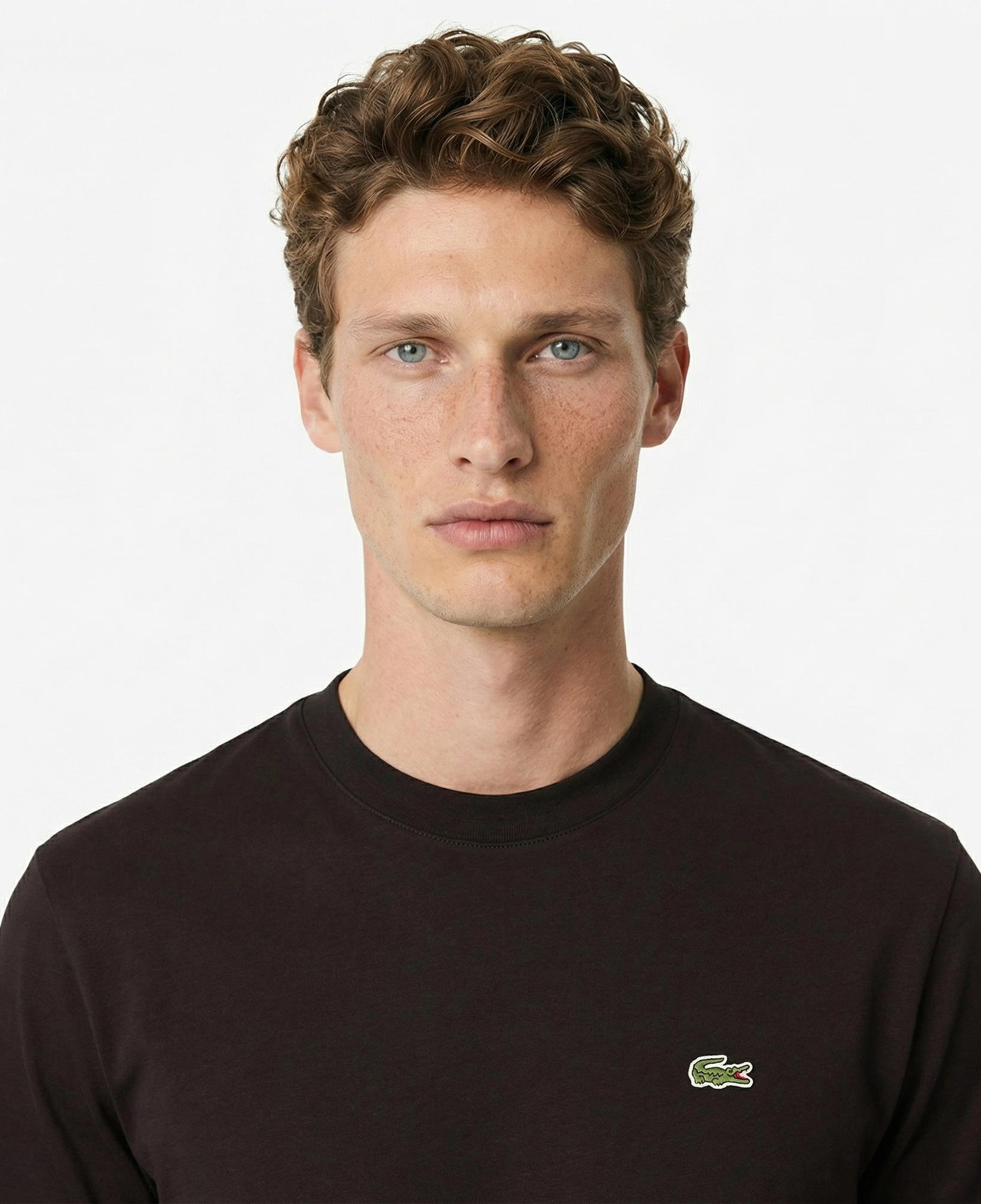 Lacoste Erkek Classic Fit Bisiklet Yaka Kahverengi T-Shirt