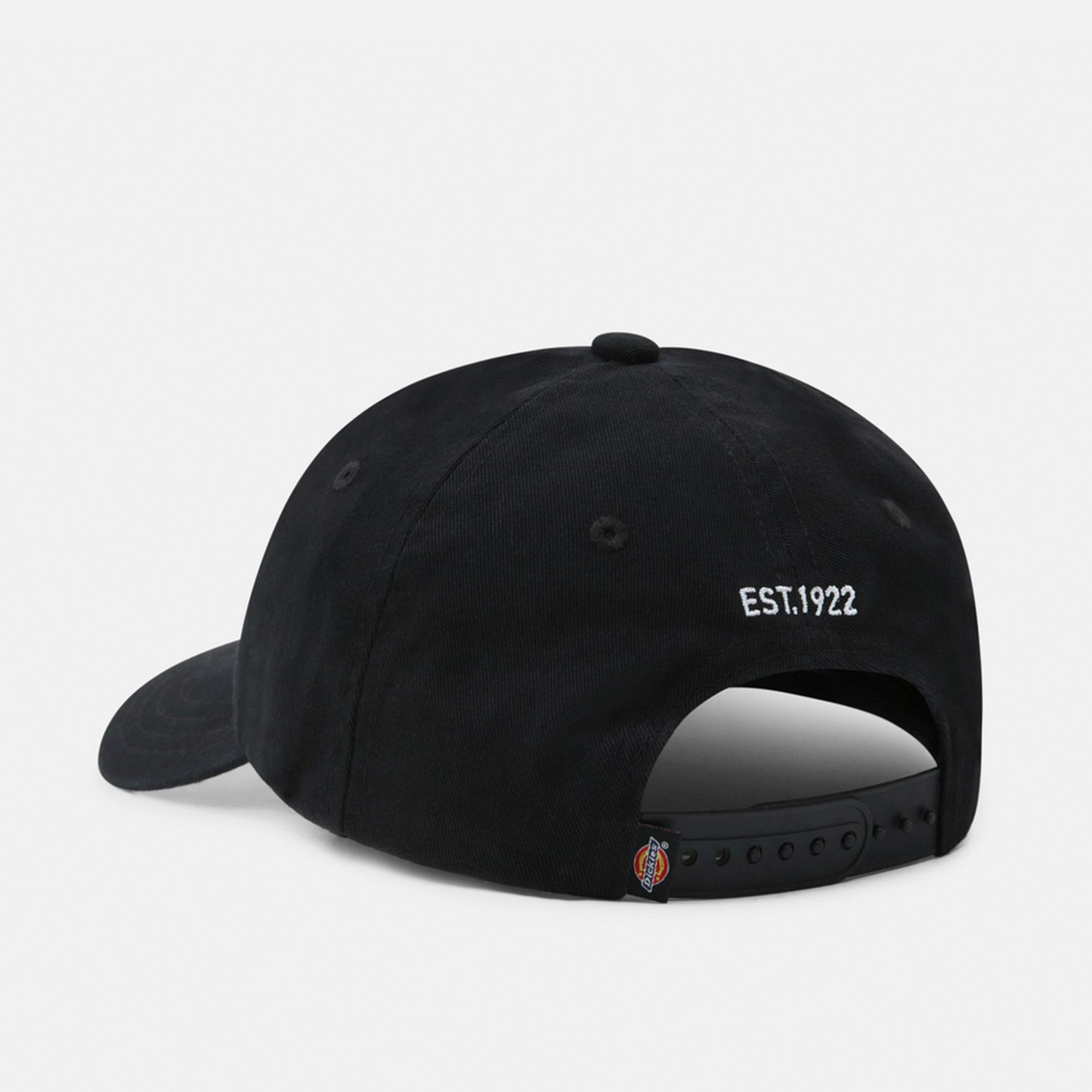 Dickies Hardwick Erkek Siyah Bere