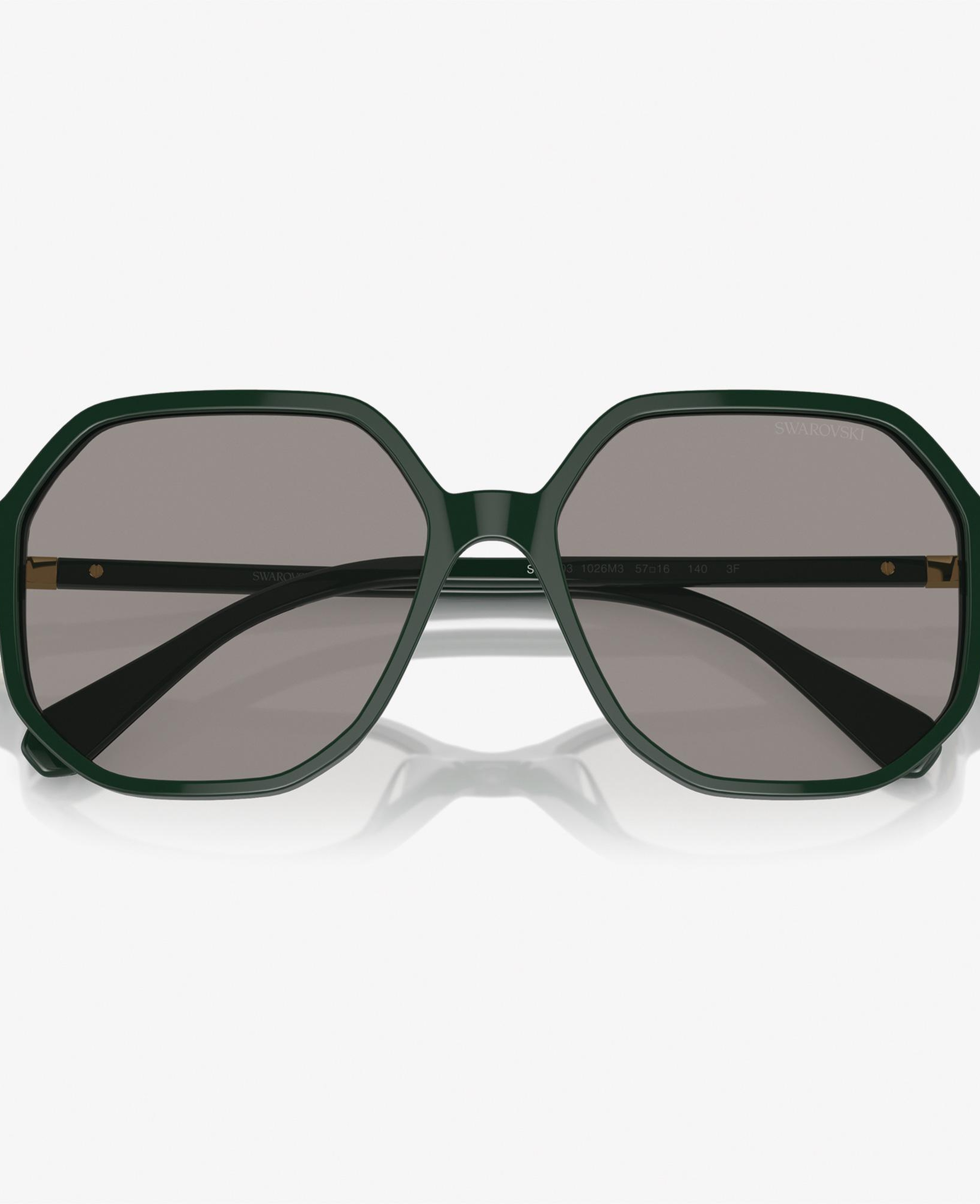 Swarovski 0SK6003 Acetate Kadın Yeşil Güneş Gözlüğü