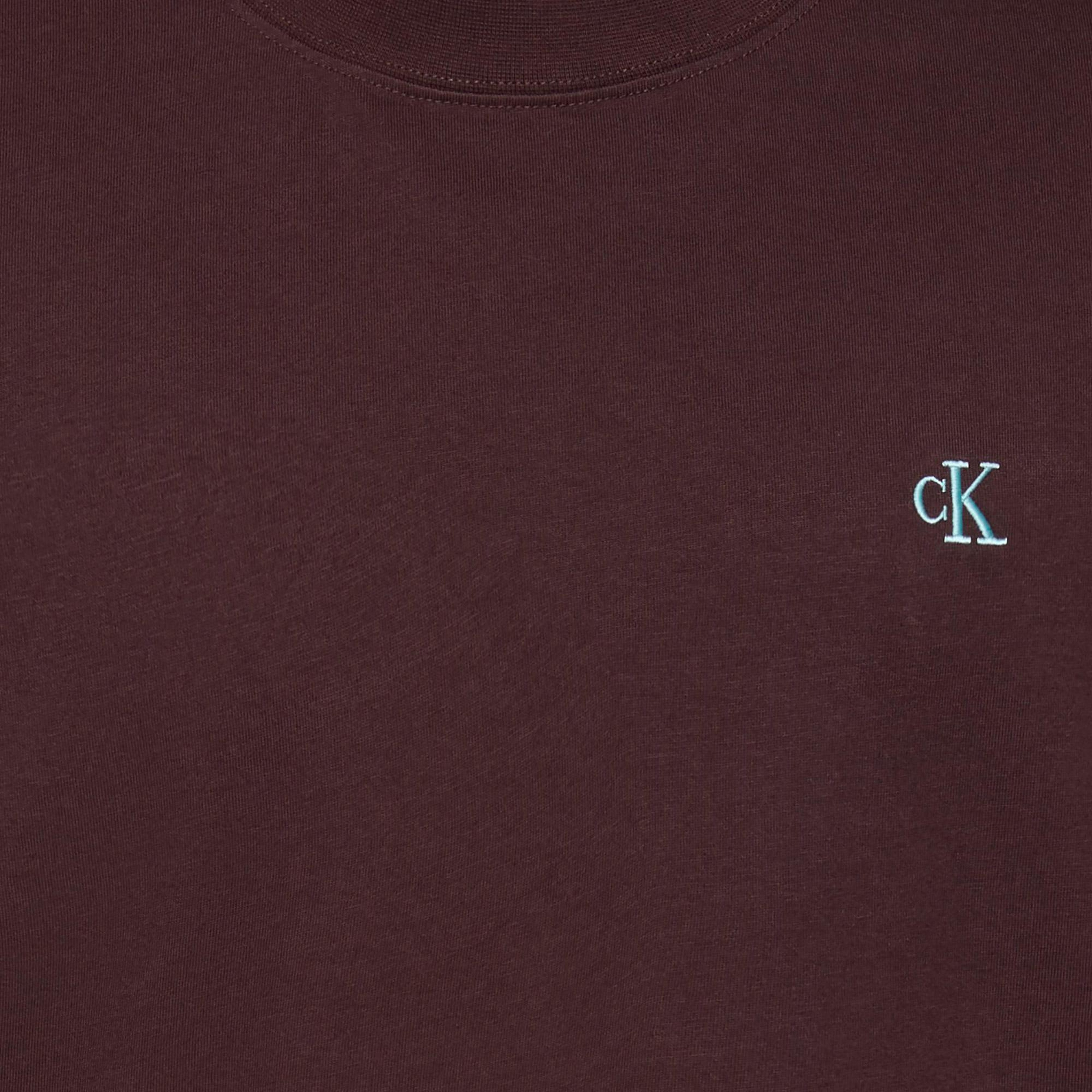 Calvin Klein Easy Monogram  Erkek Kahverengi T-Shirt