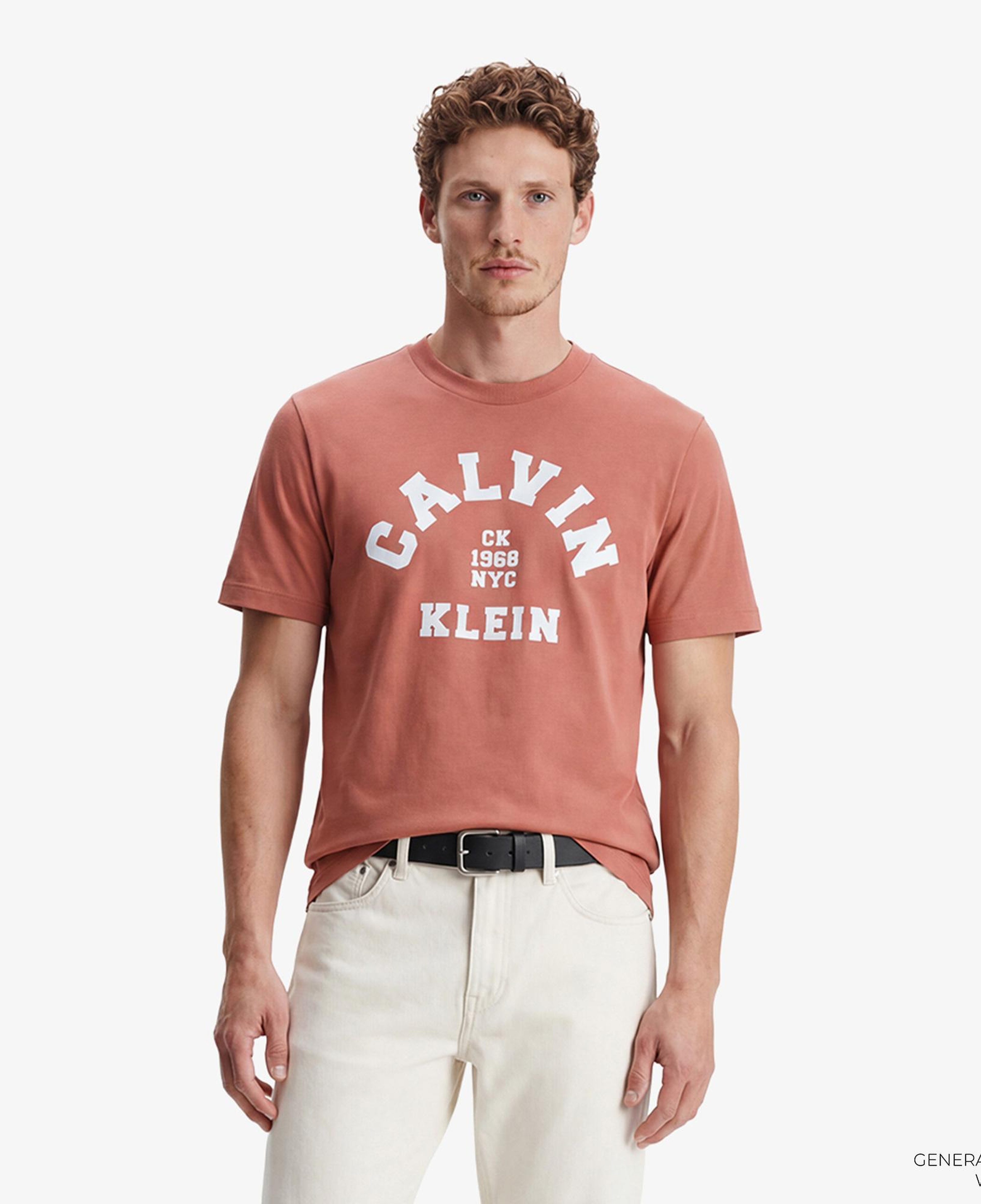 Calvin Klein 20S College Graphic Erkek Kahverengi T-Shirt