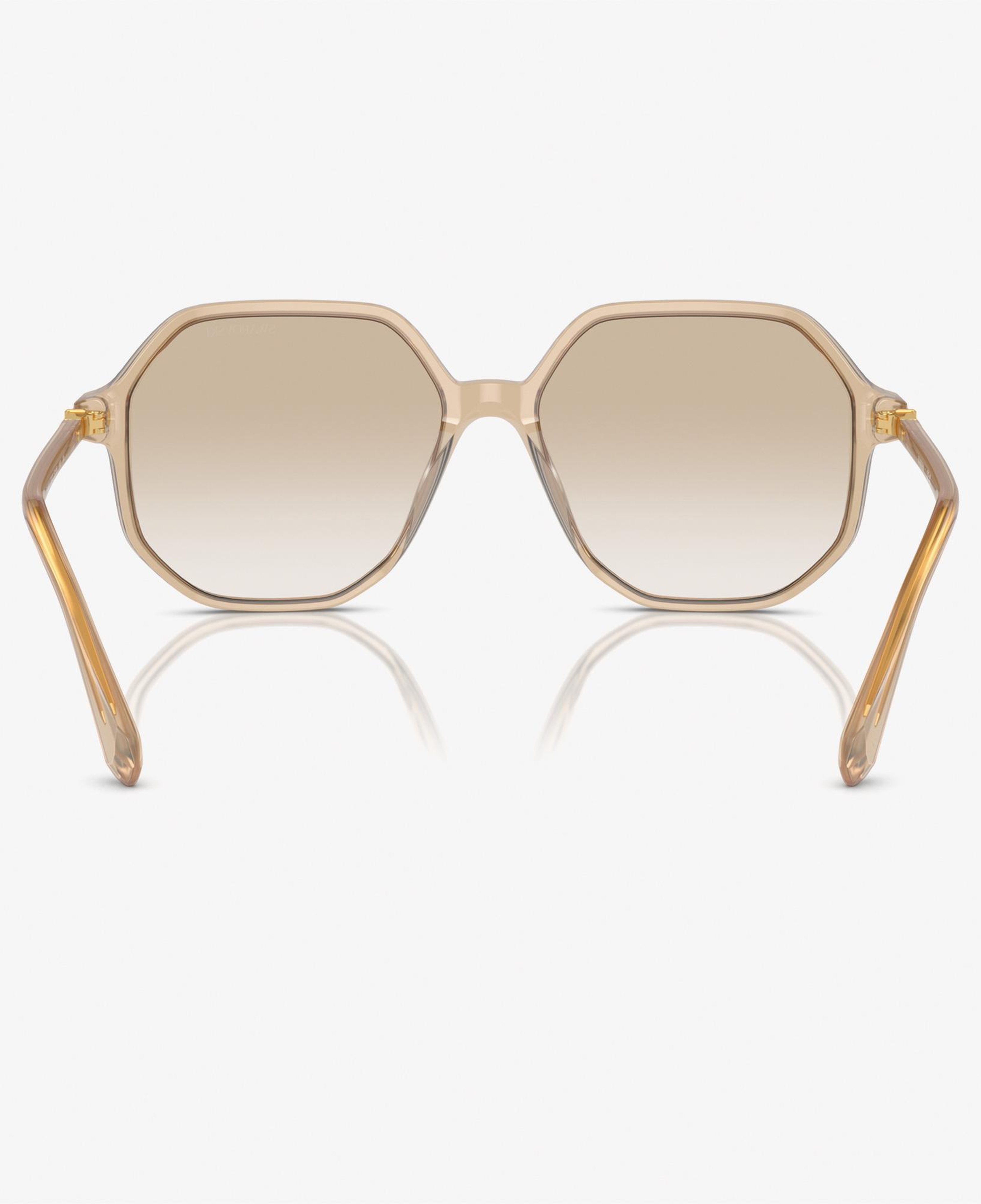 Swarovski 0SK6003 Acetate Kadın Kahverengi Güneş Gözlüğü