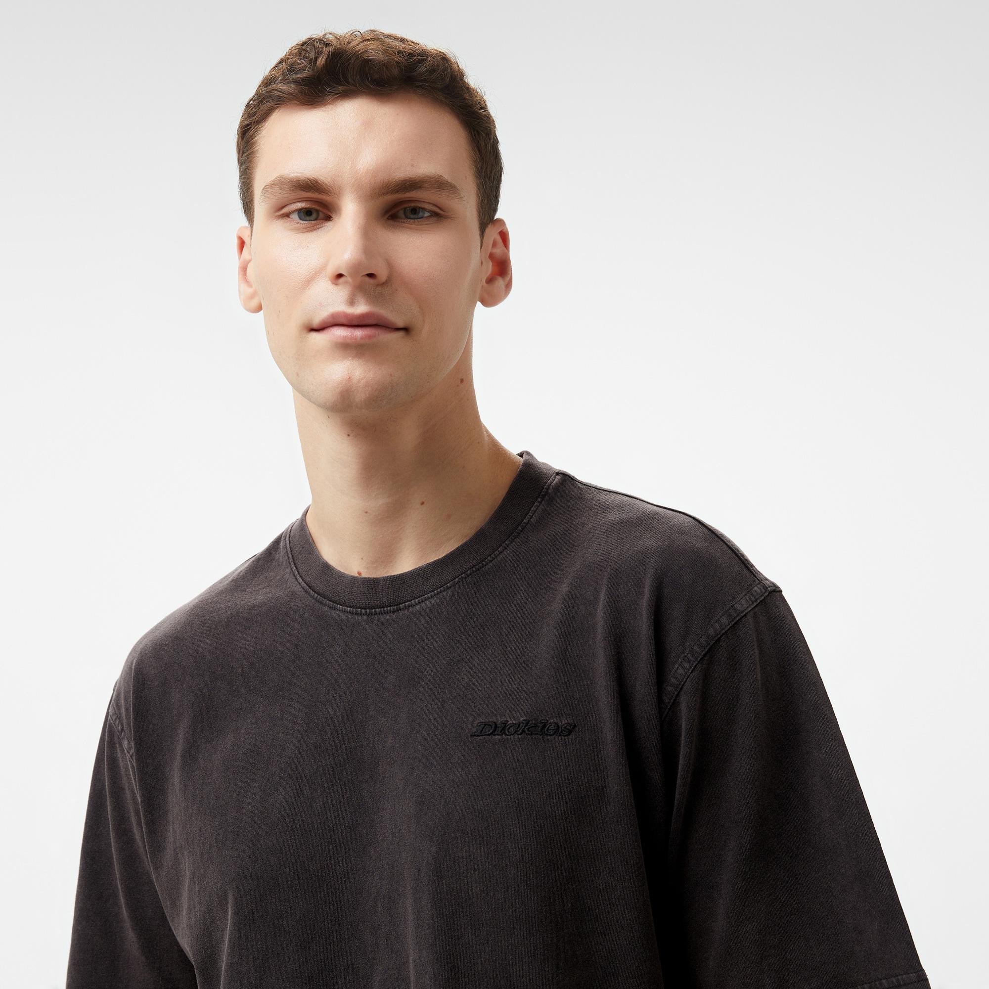 Dickies Plentywood Erkek Siyah T-Shirt