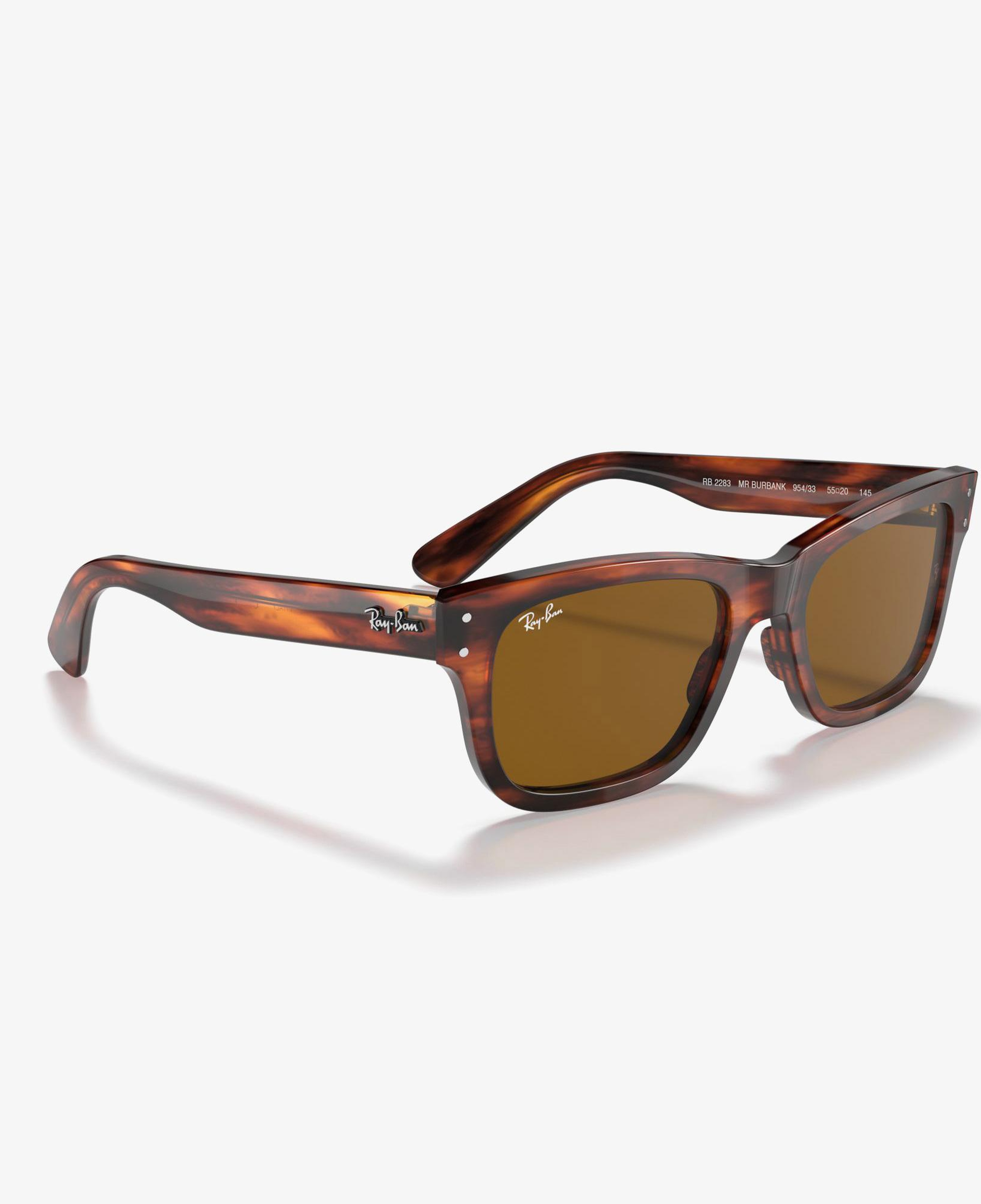 Ray-Ban 0RB2283 Erkek Striped Havana Kahverengi Güneş Gözlüğü
