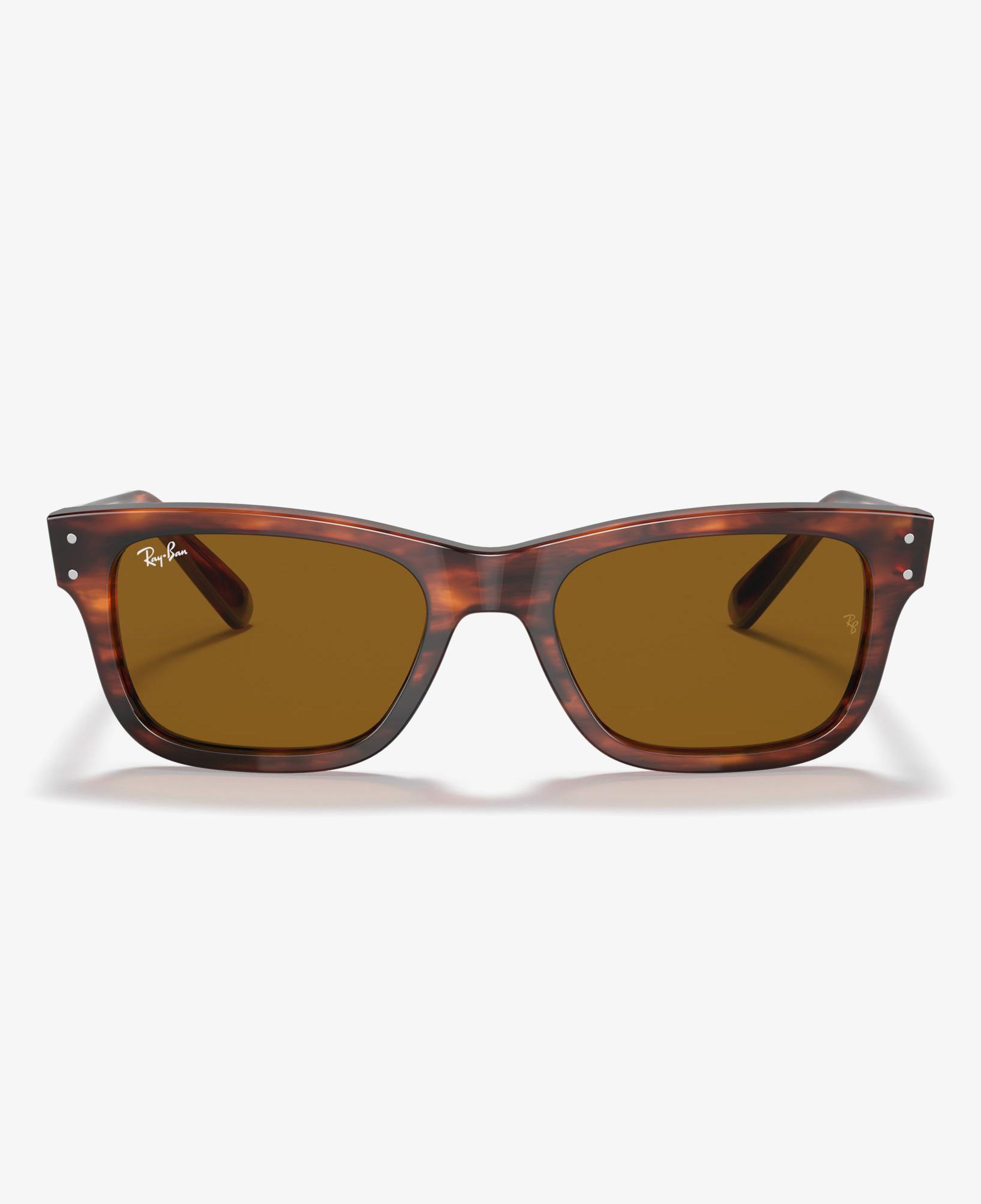 Ray-Ban 0RB2283 Erkek Striped Havana Kahverengi Güneş Gözlüğü