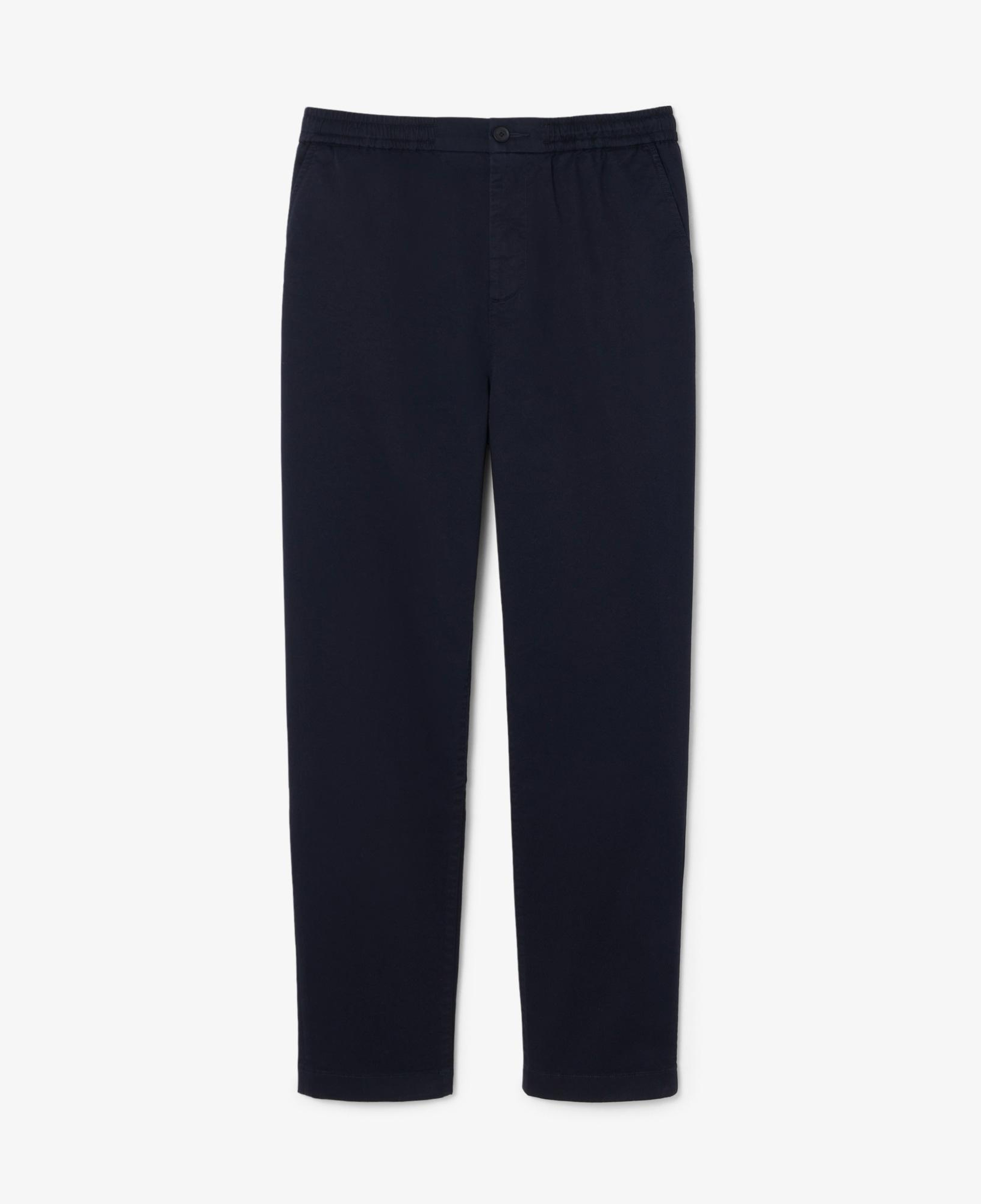 Lacoste Erkek Regular Fit Lacivert Chino Pantolon