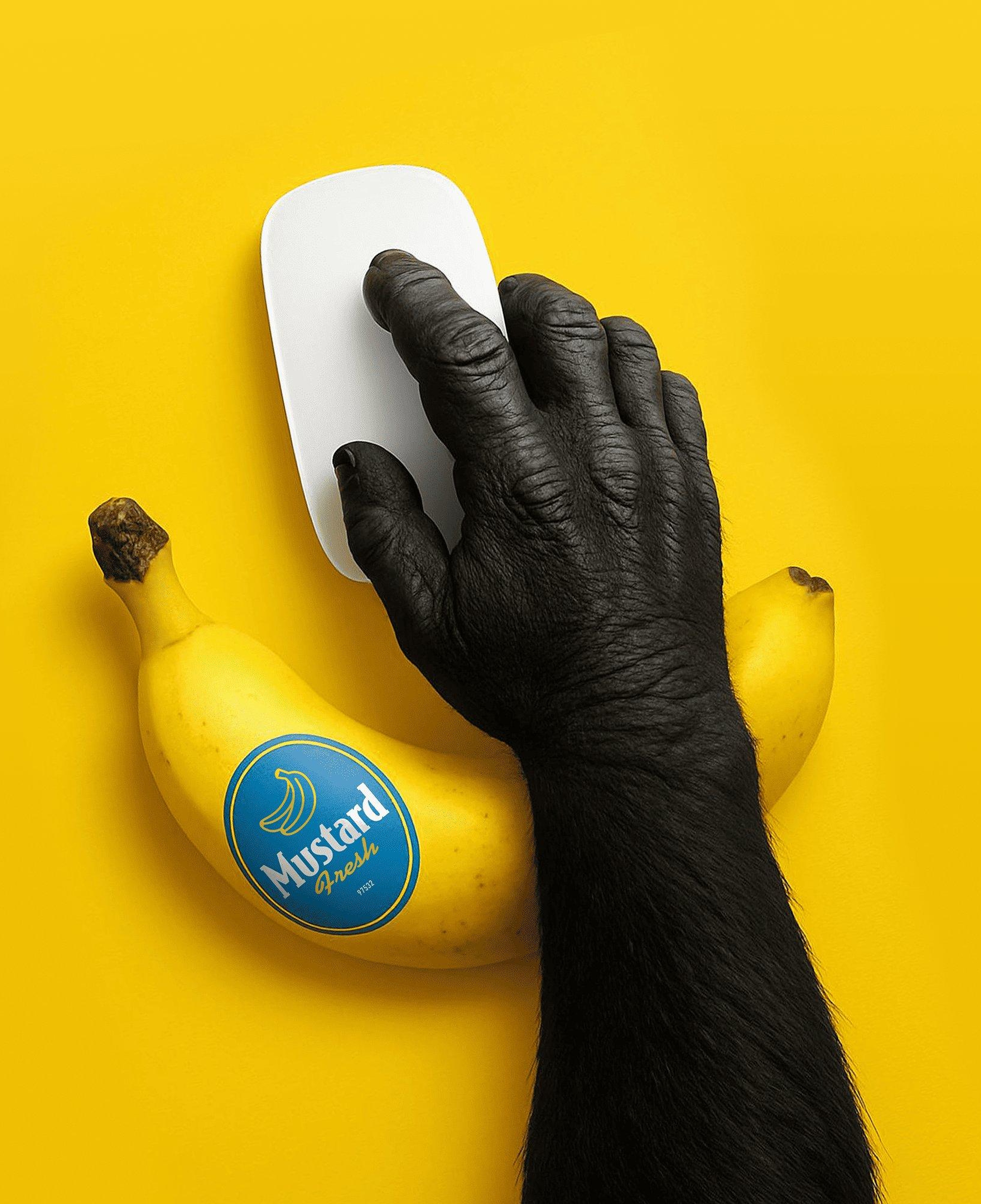 Mustard Banana Mouse Bilek Desteği
