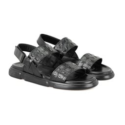 Thumbnail 0