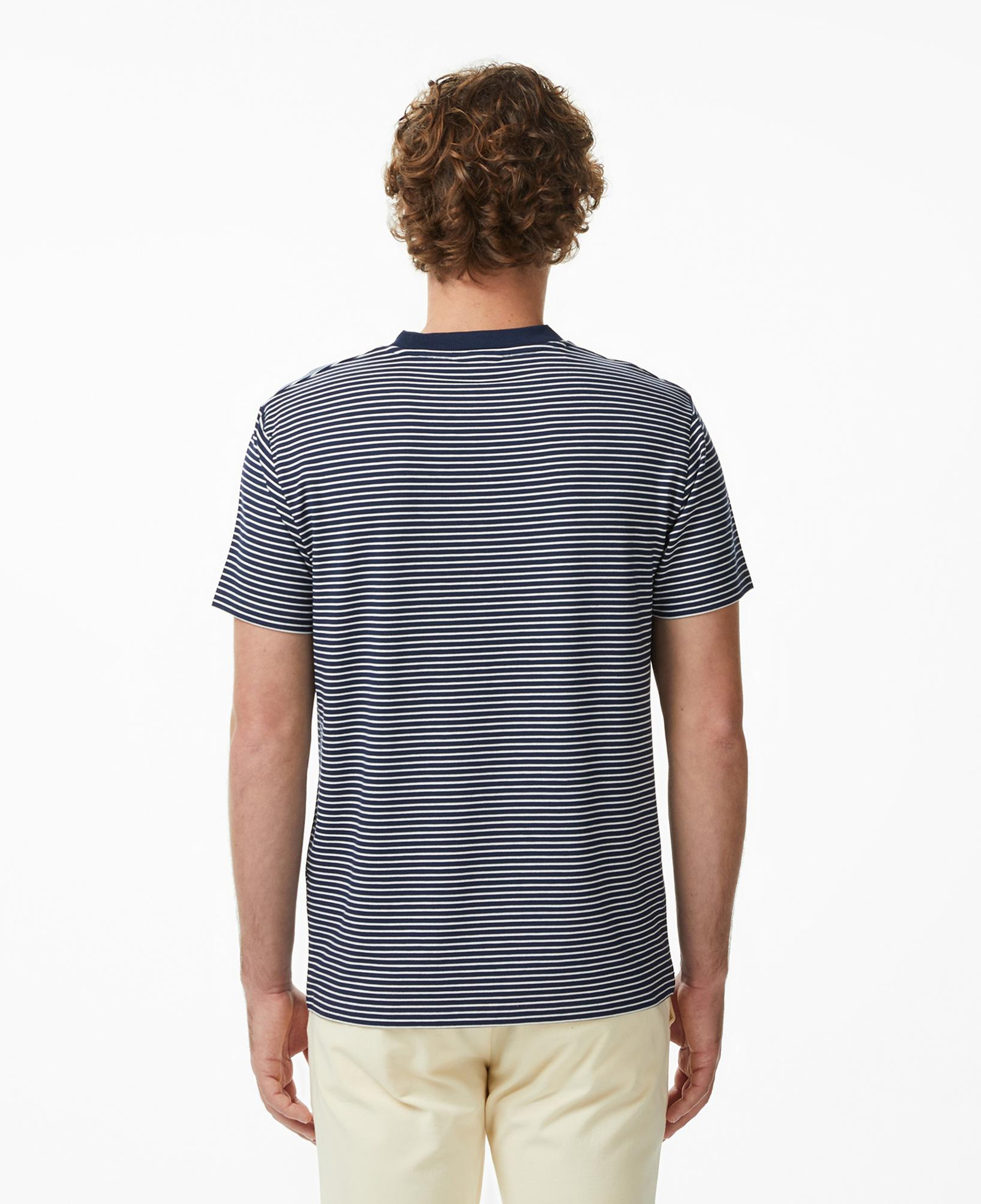 Lacoste Erkek Regular Fit Bisiklet Yaka Çizgili Lacivert T-Shirt