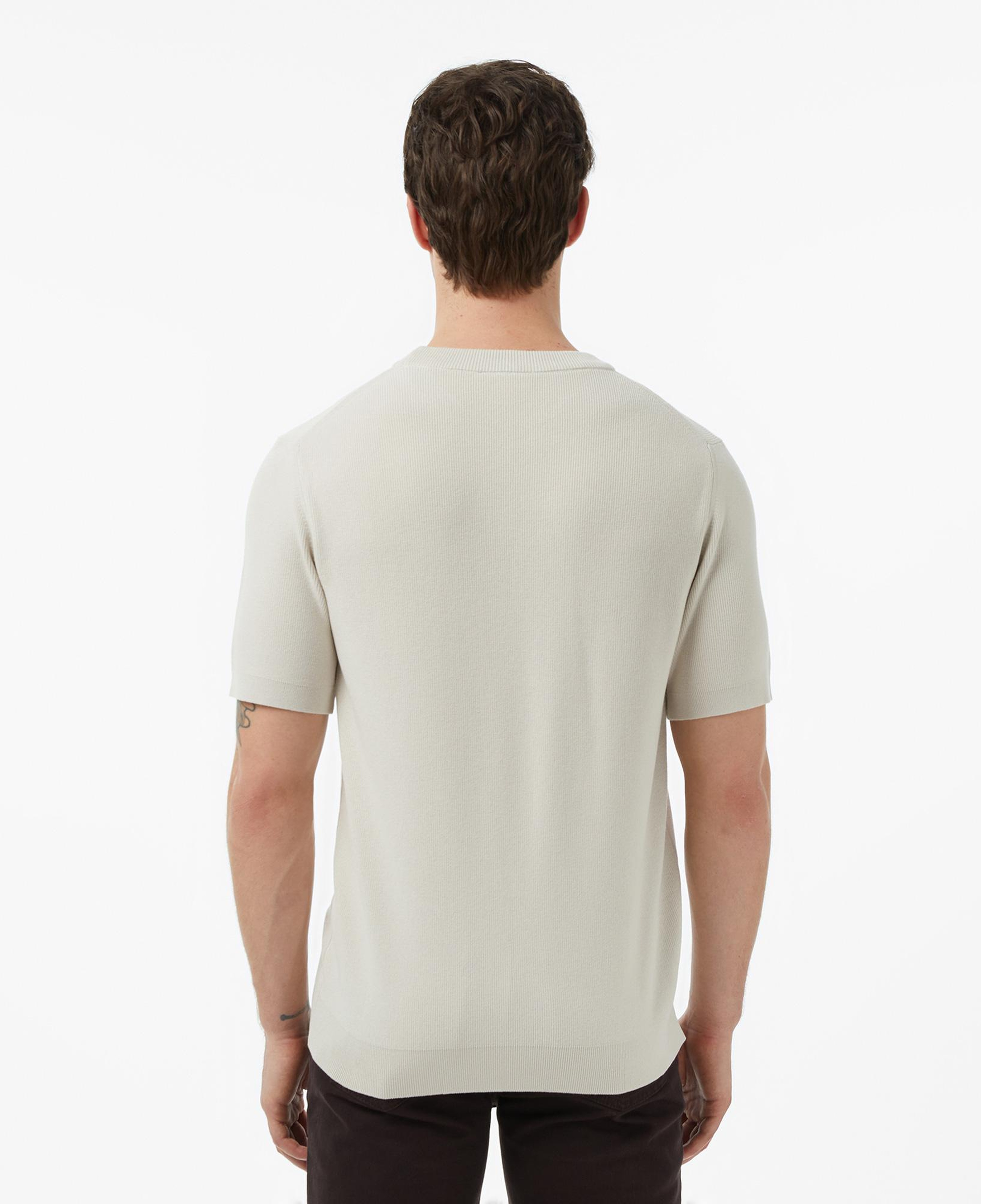 Lacoste Erkek Classic Fit Kısa Kollu Bisiklet Yaka Bej Triko