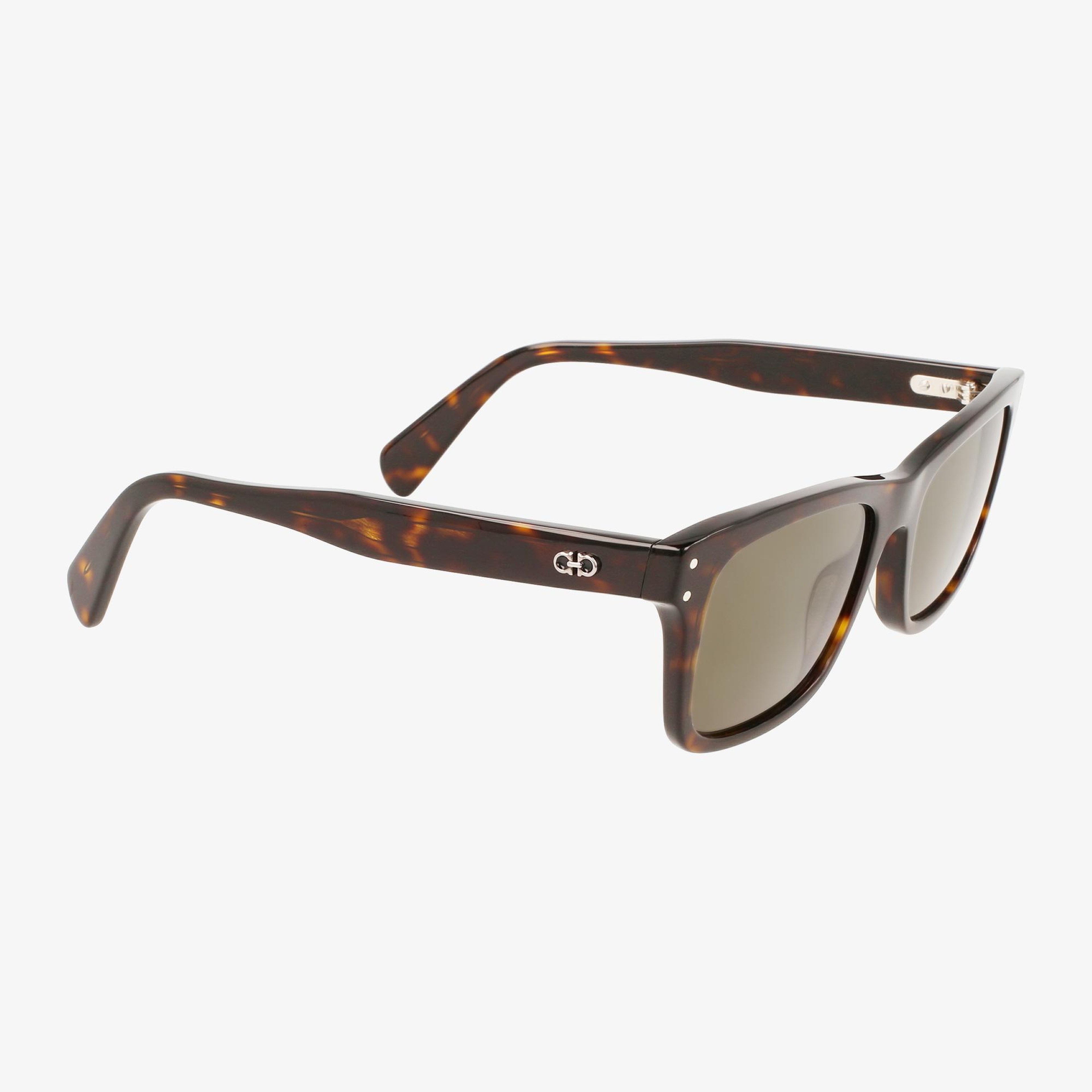 Salvatore Ferragamo Erkek Renkli Gözlük