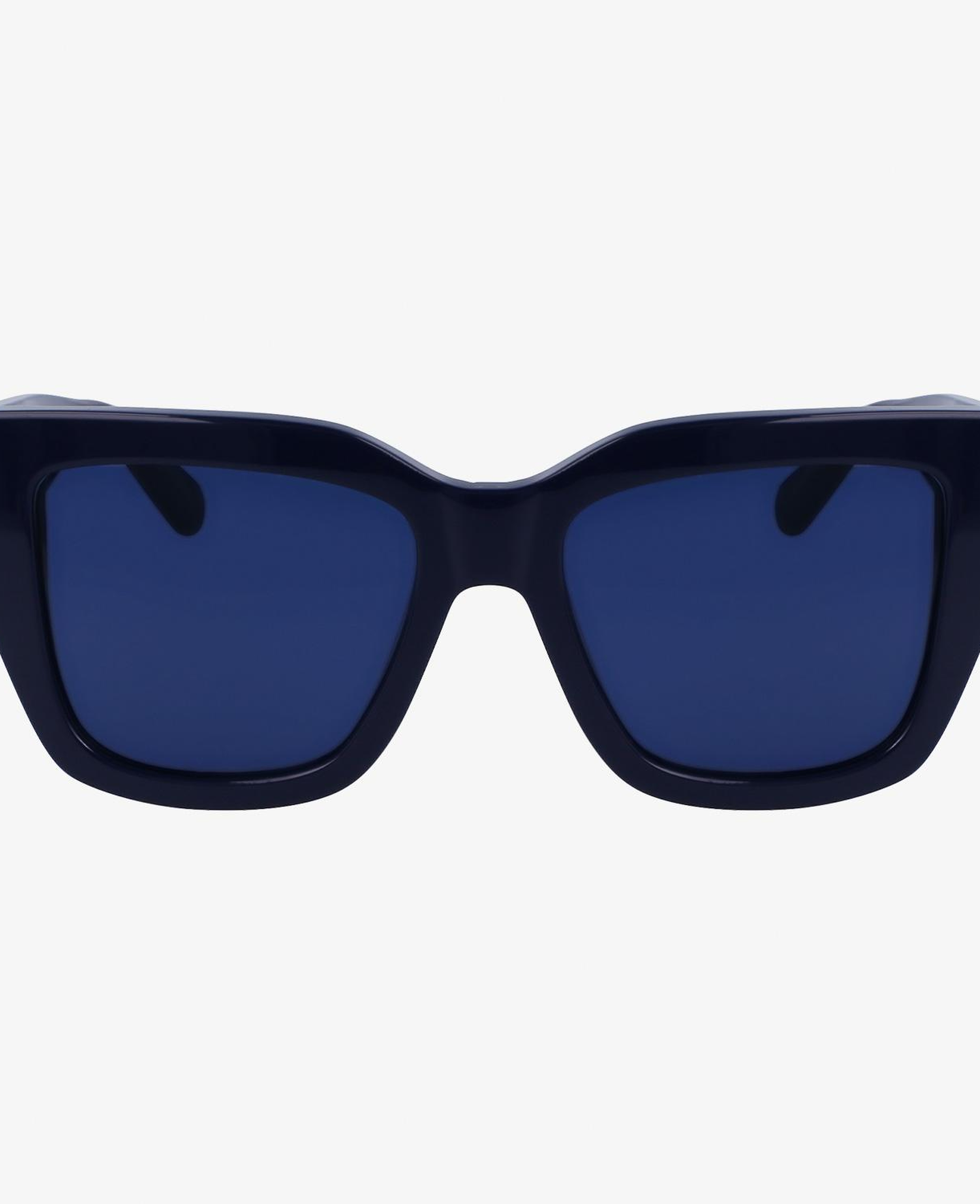 Salvatore Ferragamo Kadın Lacivert Gözlük