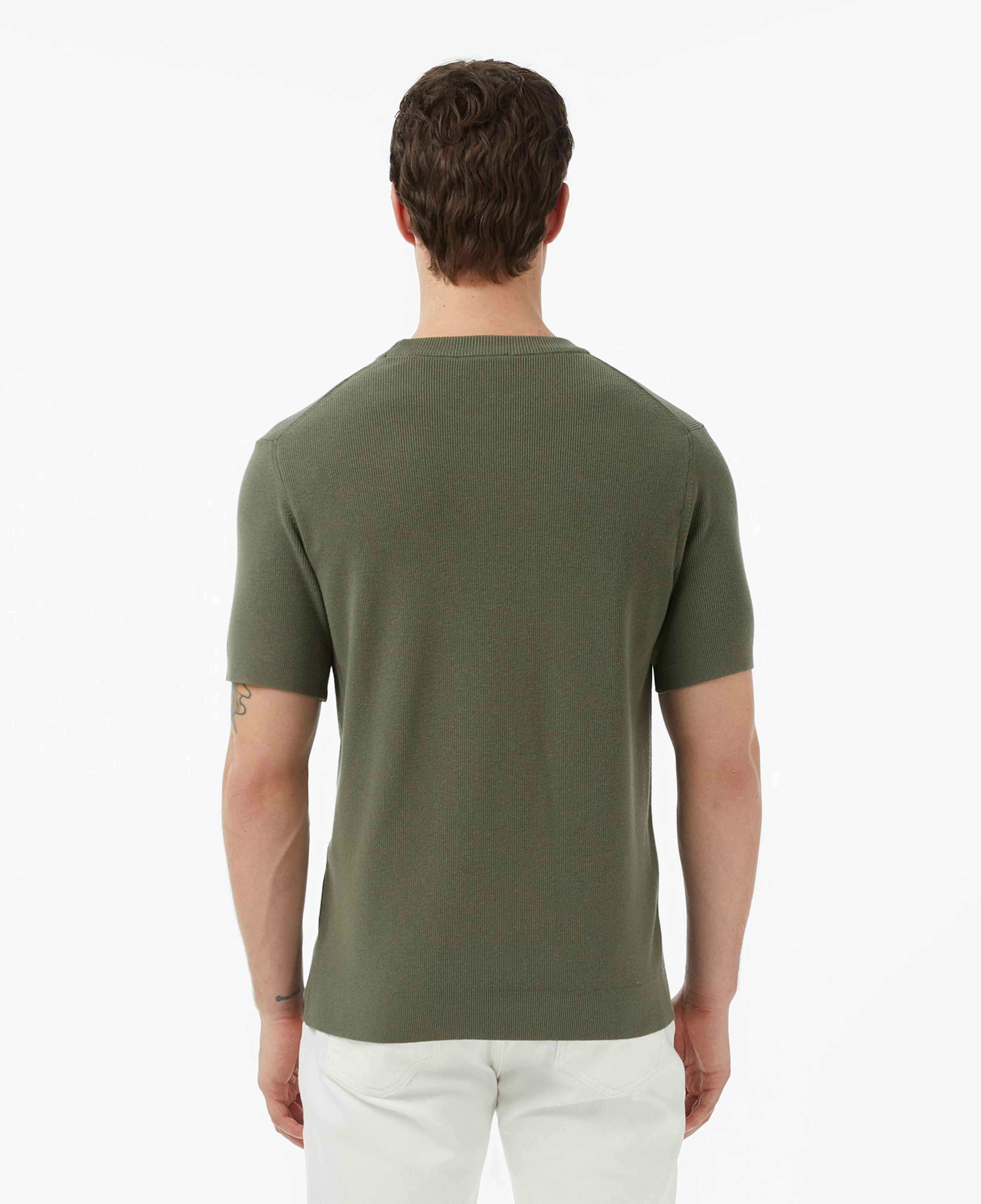 Lacoste Erkek Classic Fit Kısa Kollu Bisiklet Yaka Haki Triko