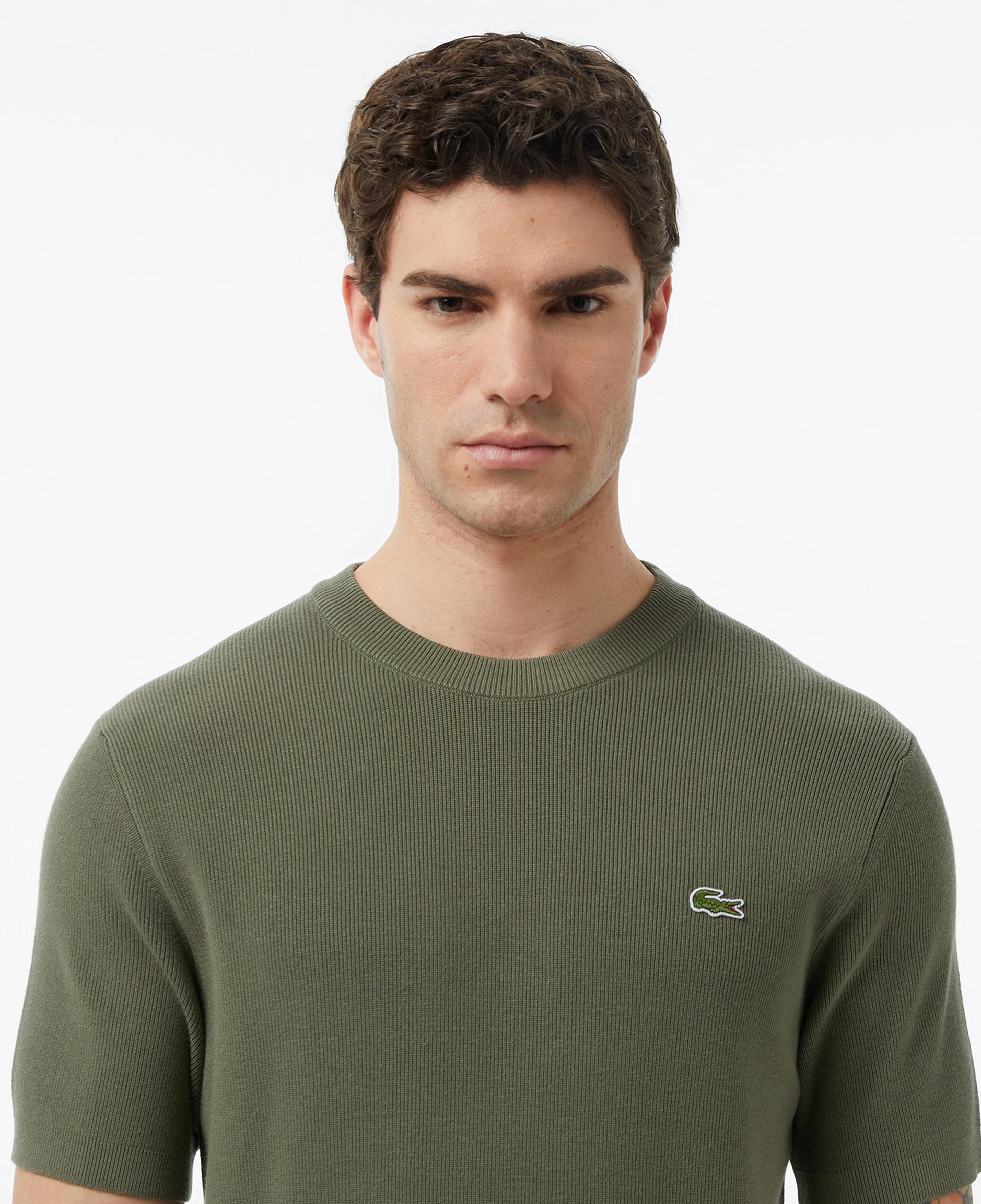 Lacoste Erkek Classic Fit Kısa Kollu Bisiklet Yaka Haki Triko