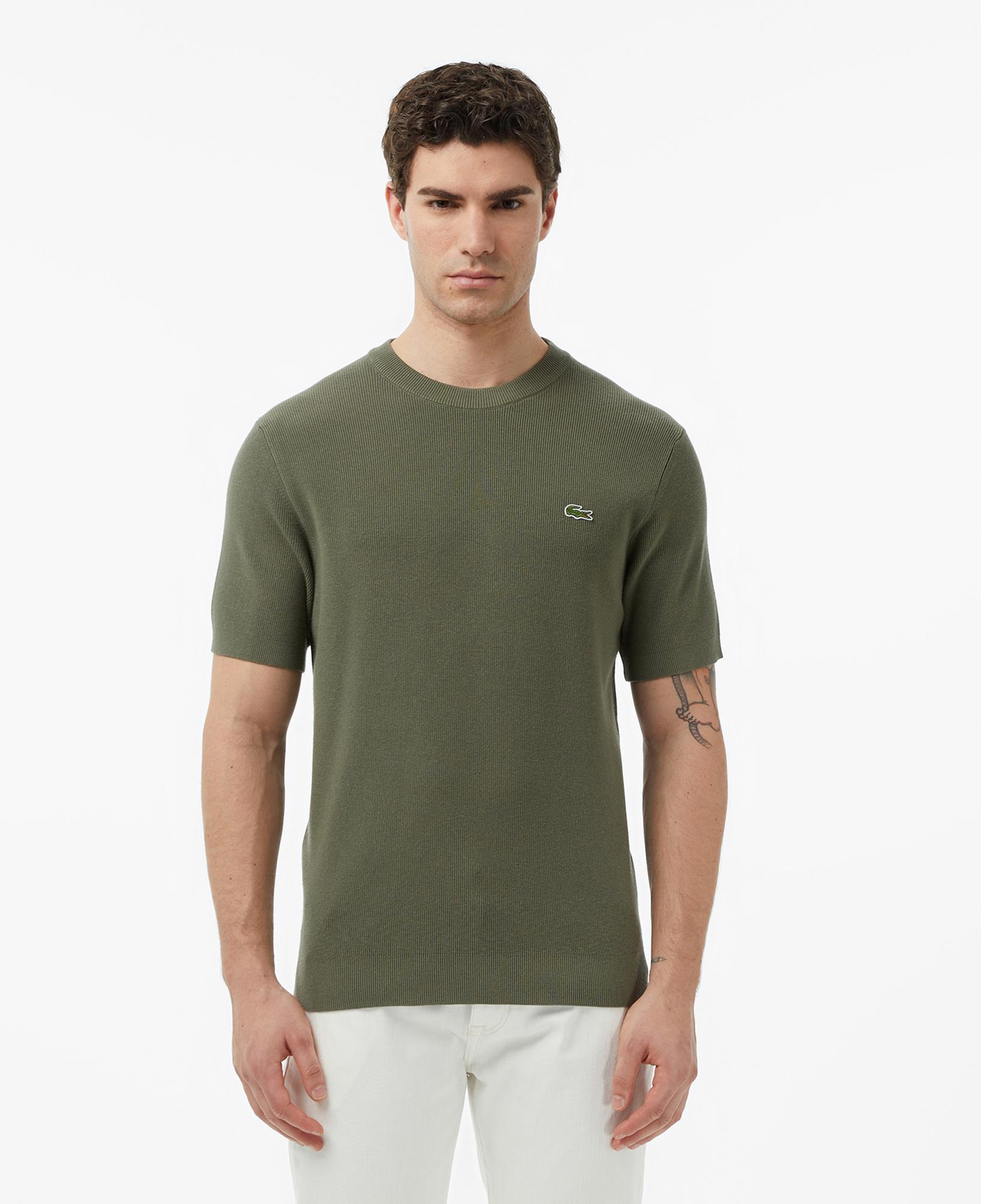 Lacoste Erkek Classic Fit Kısa Kollu Bisiklet Yaka Haki Triko