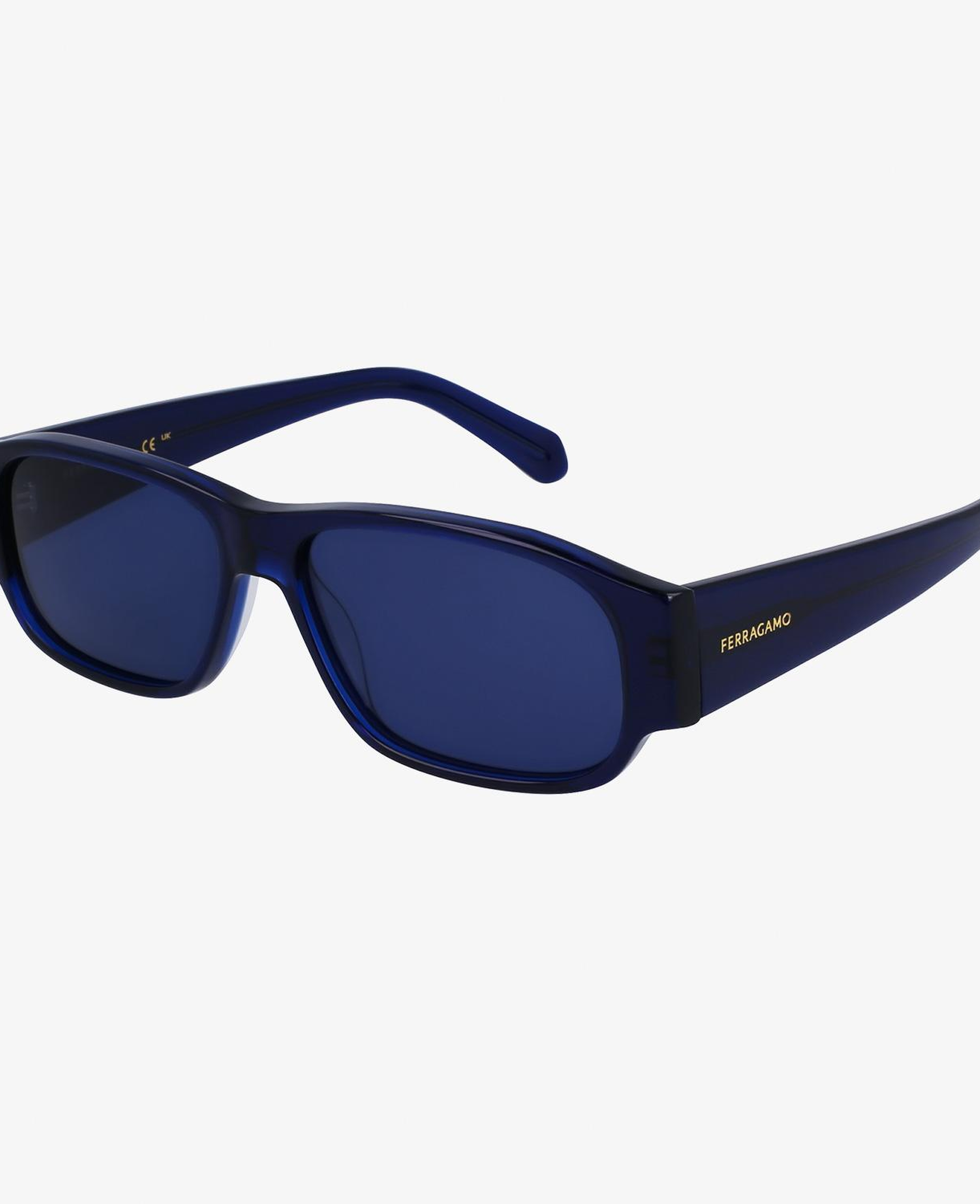 Salvatore Ferragamo Erkek Mavi Gözlük