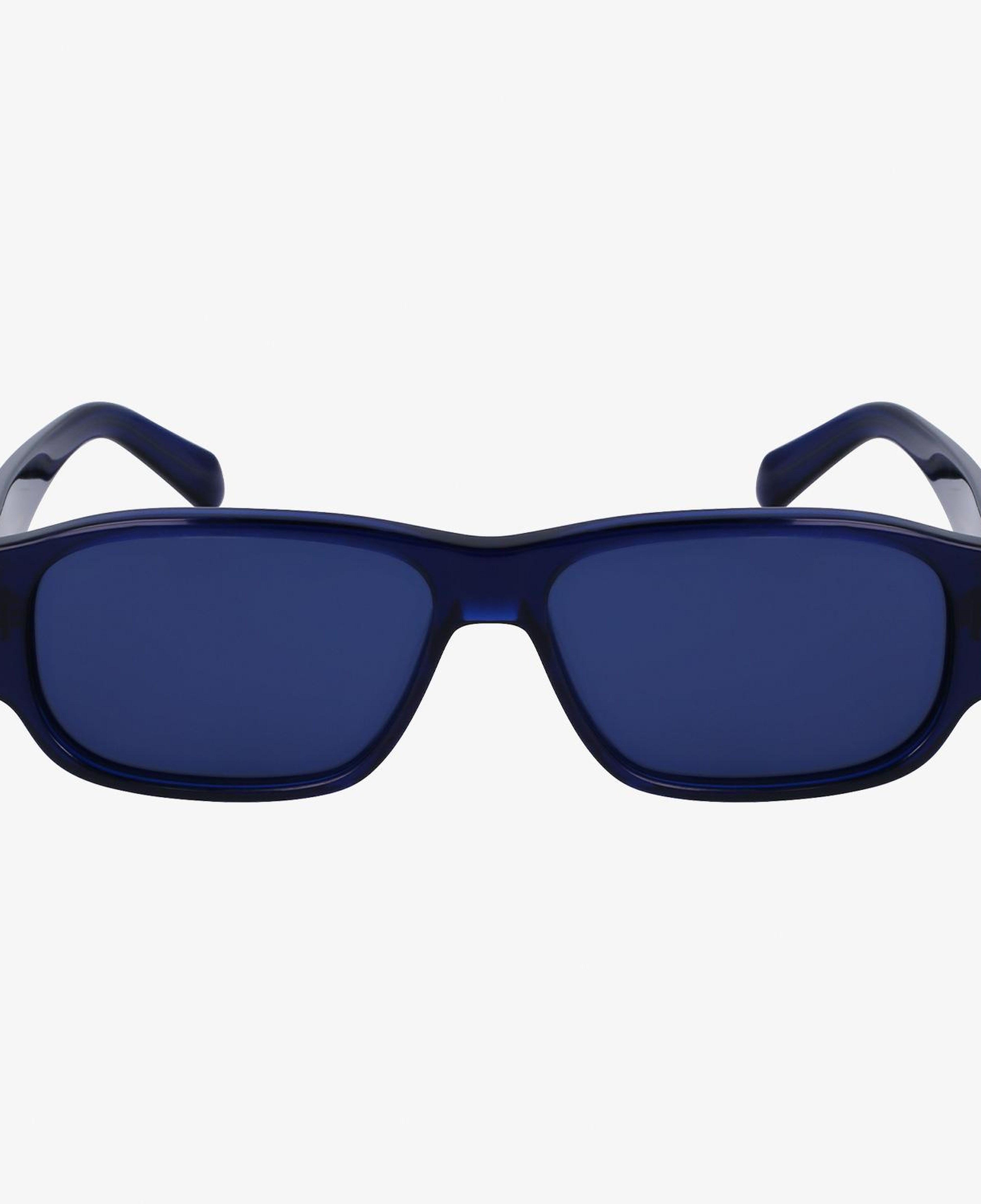 Salvatore Ferragamo Erkek Mavi Gözlük