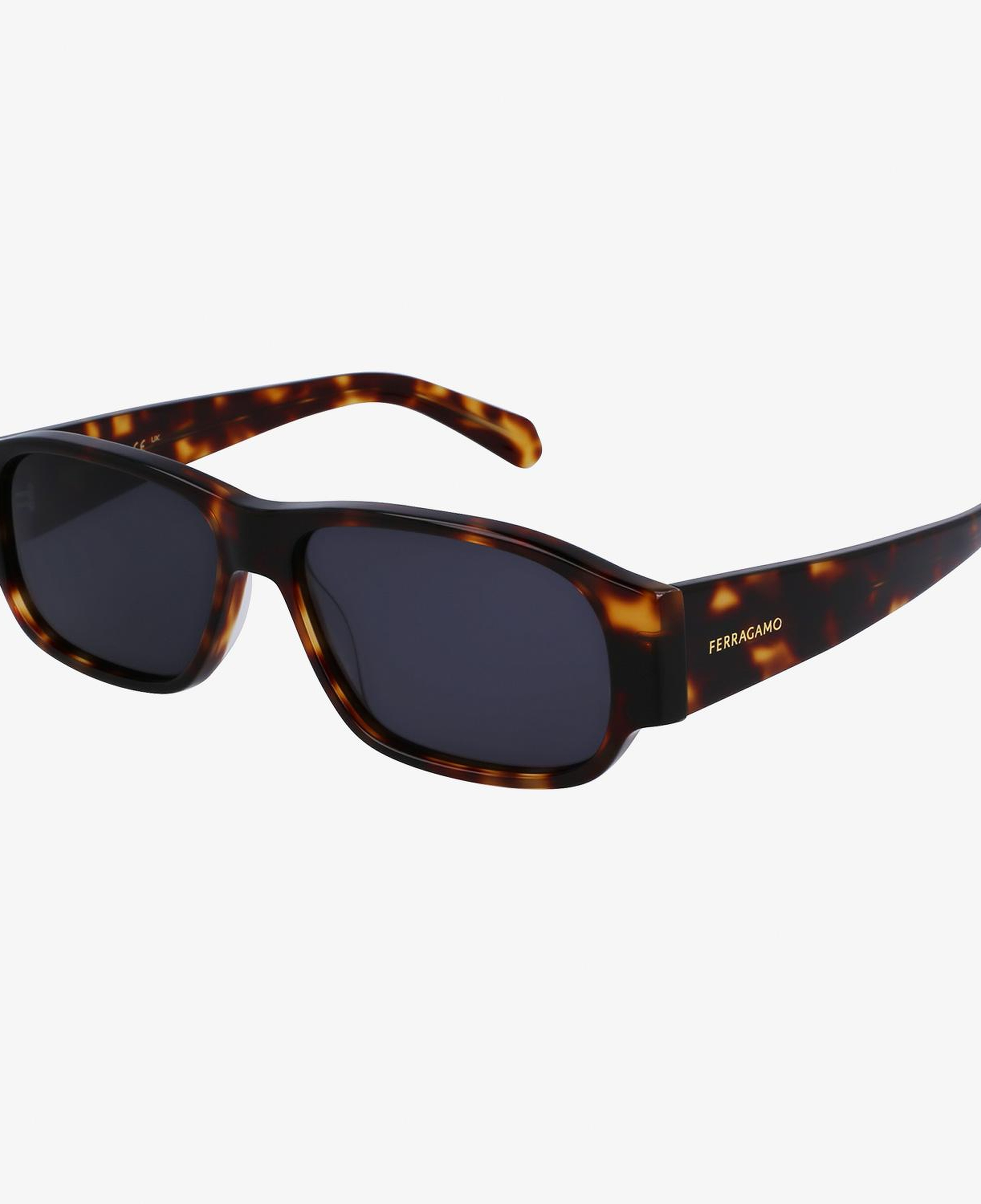 Salvatore Ferragamo Erkek Siyah Gözlük