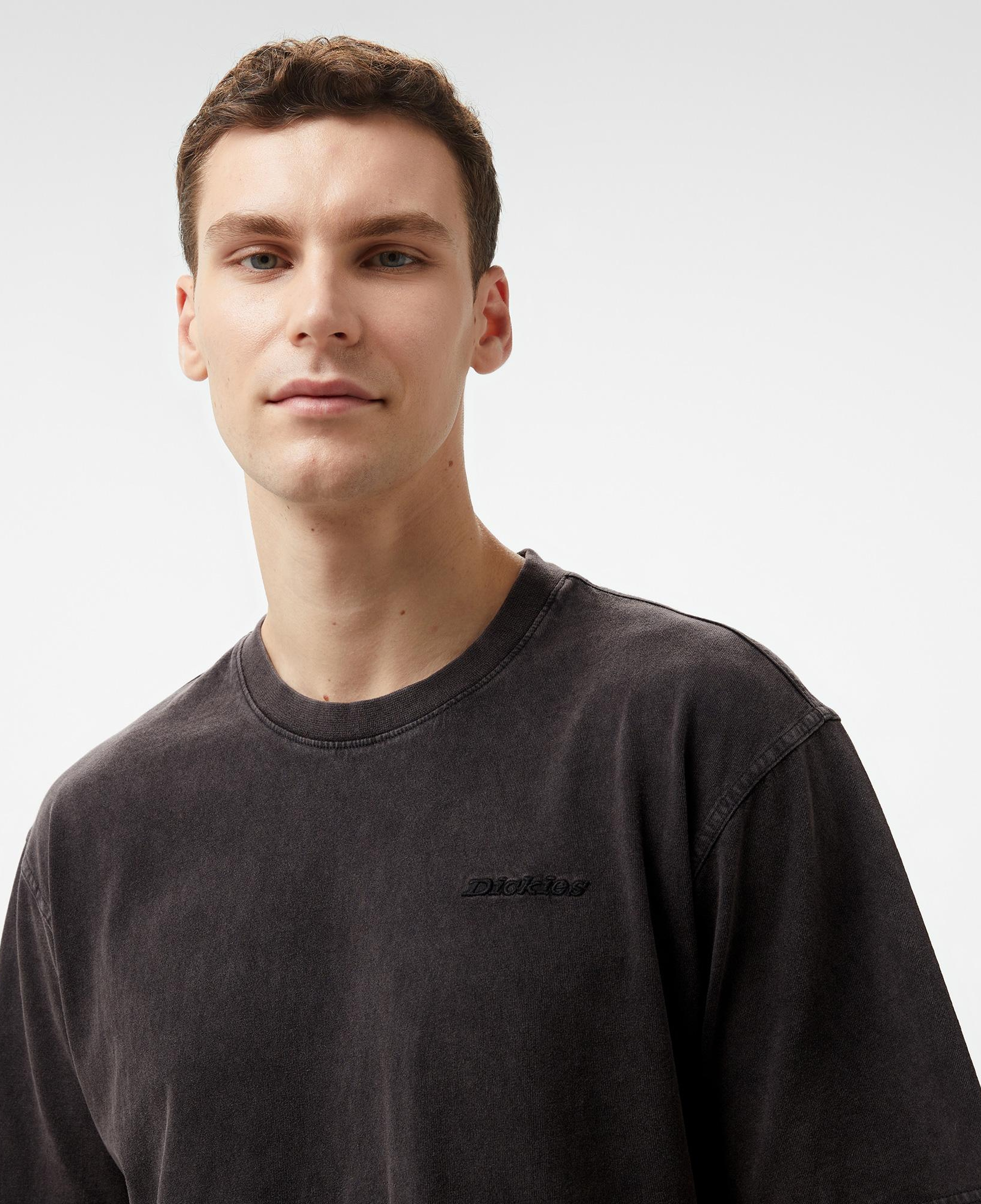 Dickies Plentywood Erkek Siyah T-Shirt
