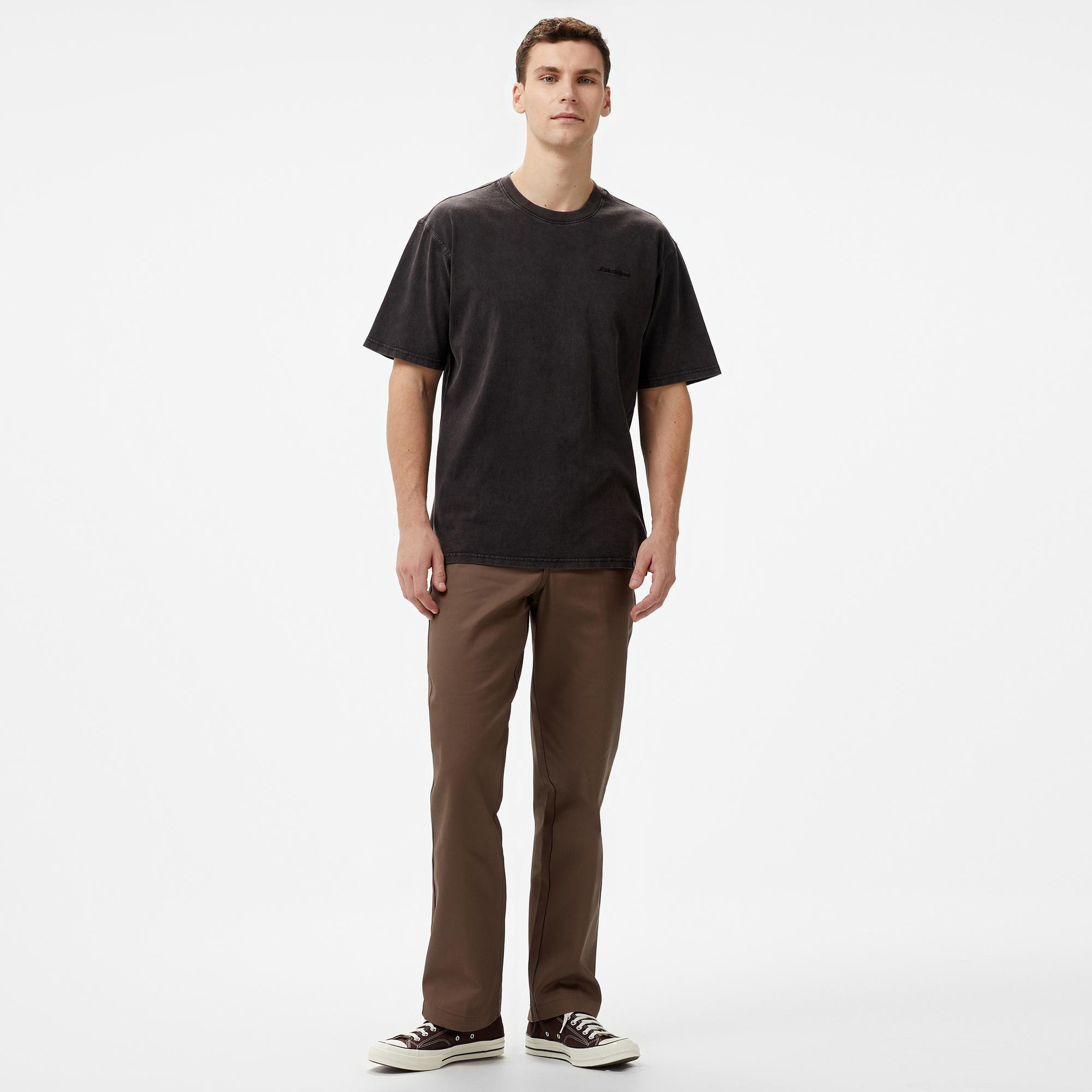Dickies Plentywood Erkek Siyah T-Shirt