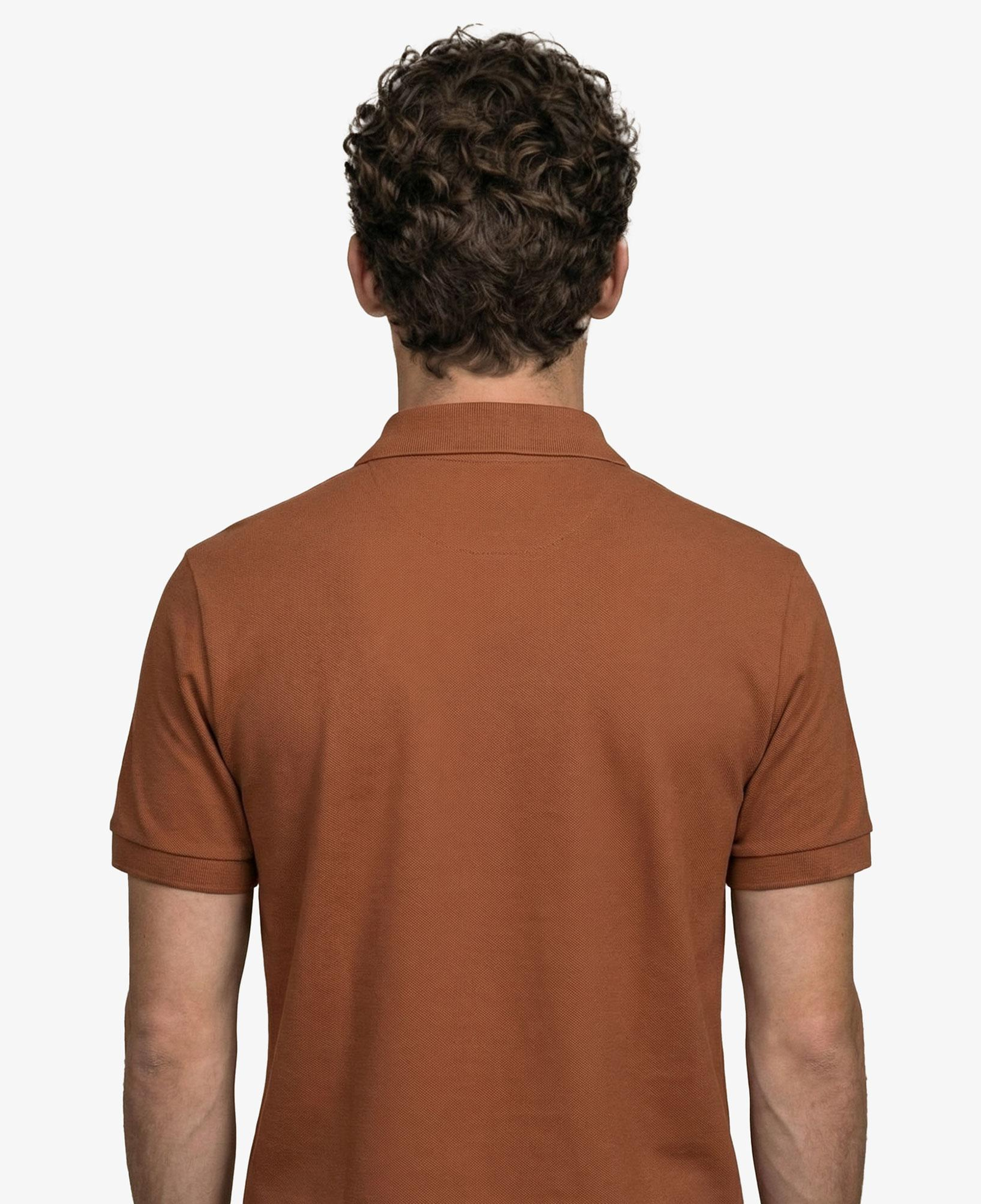 Erkek Regular Fit Kahverengi Paris Polo