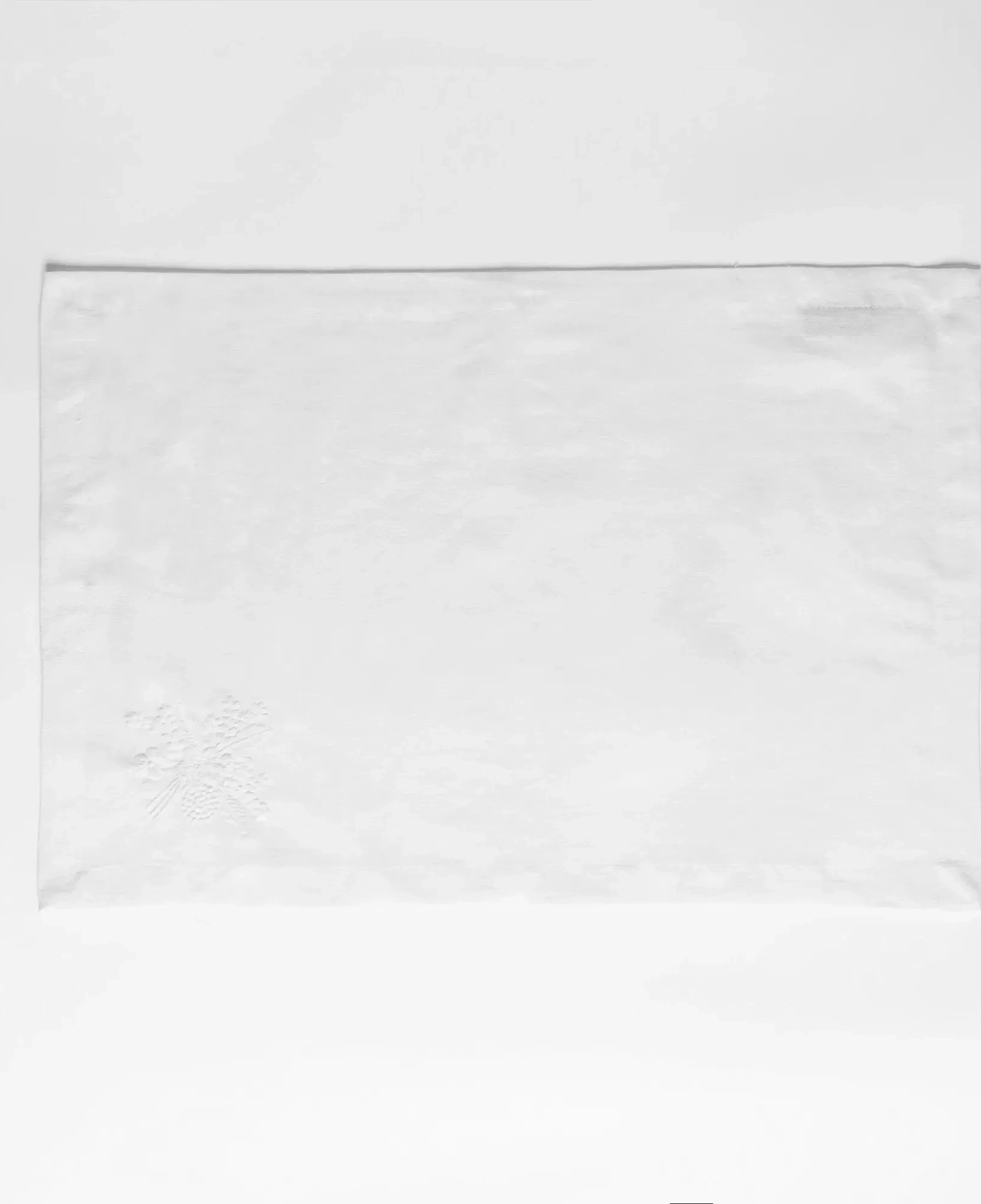 Qua Home Julien Pamuk Keten Çiçek Nakışlı Amerikan Servis Beyaz 35*50 cm