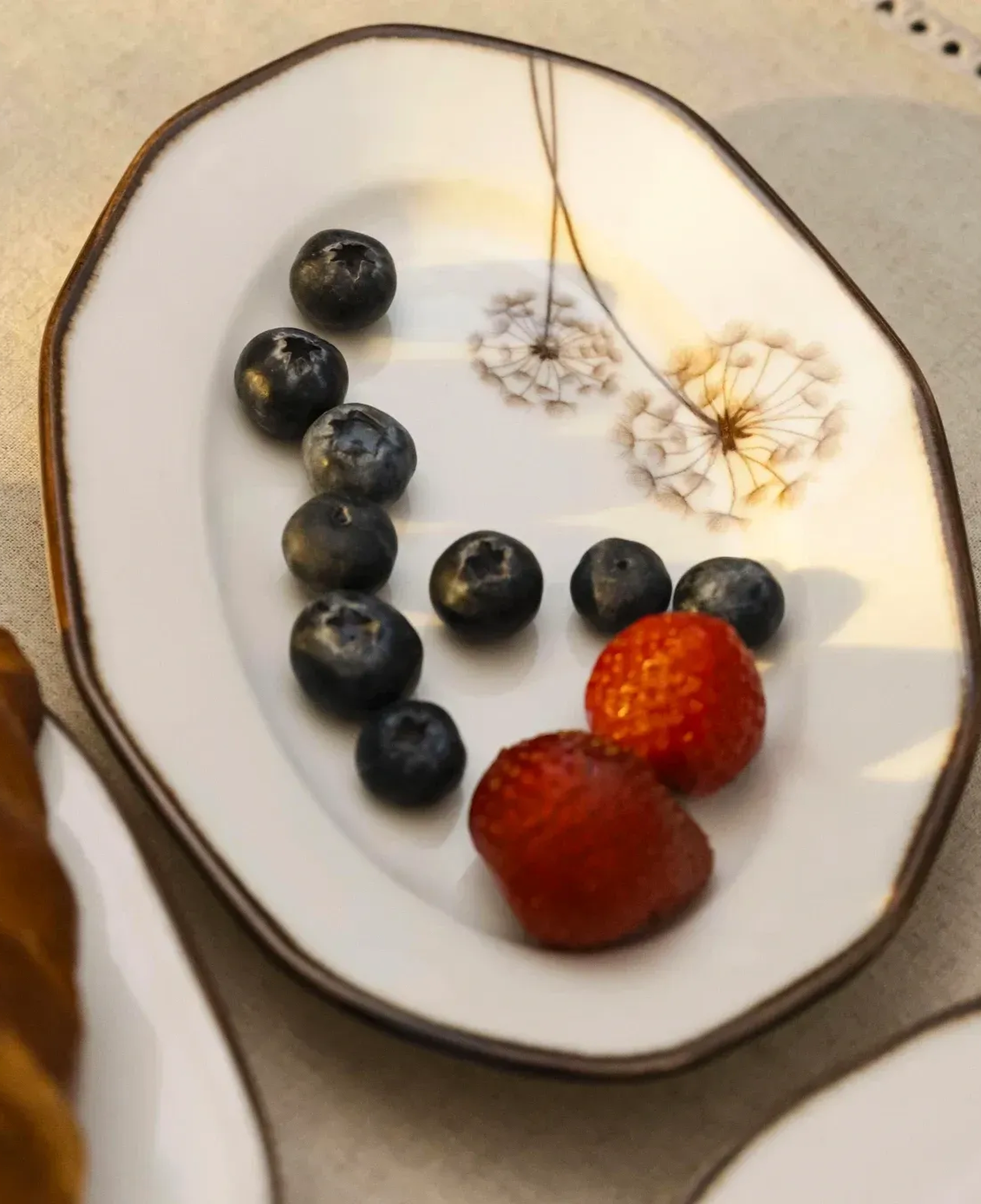 Qua Home Nash Desenli Kayık Tabak 25 cm