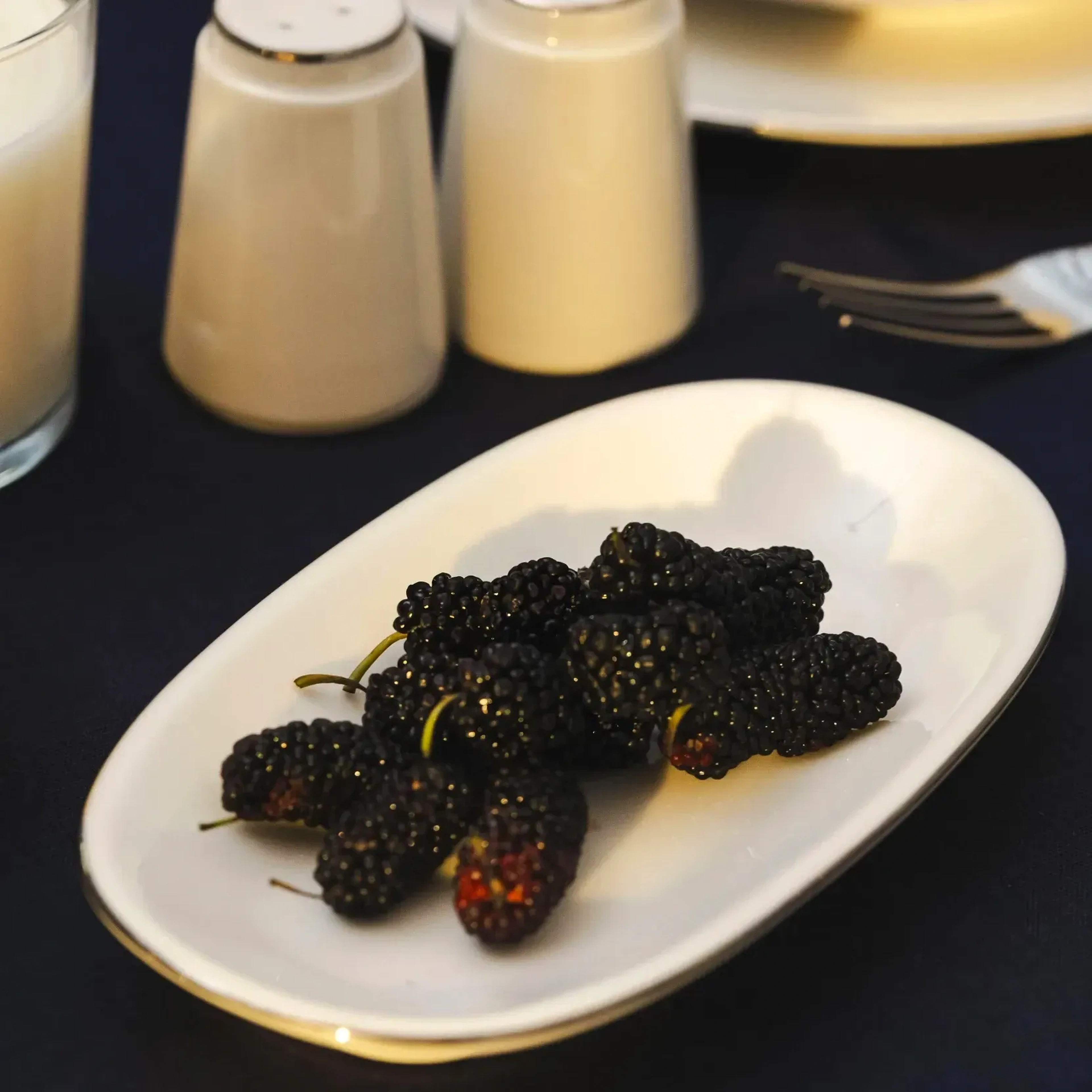 Qua Home Elias Platin Kayık Tabak 19x11 cm