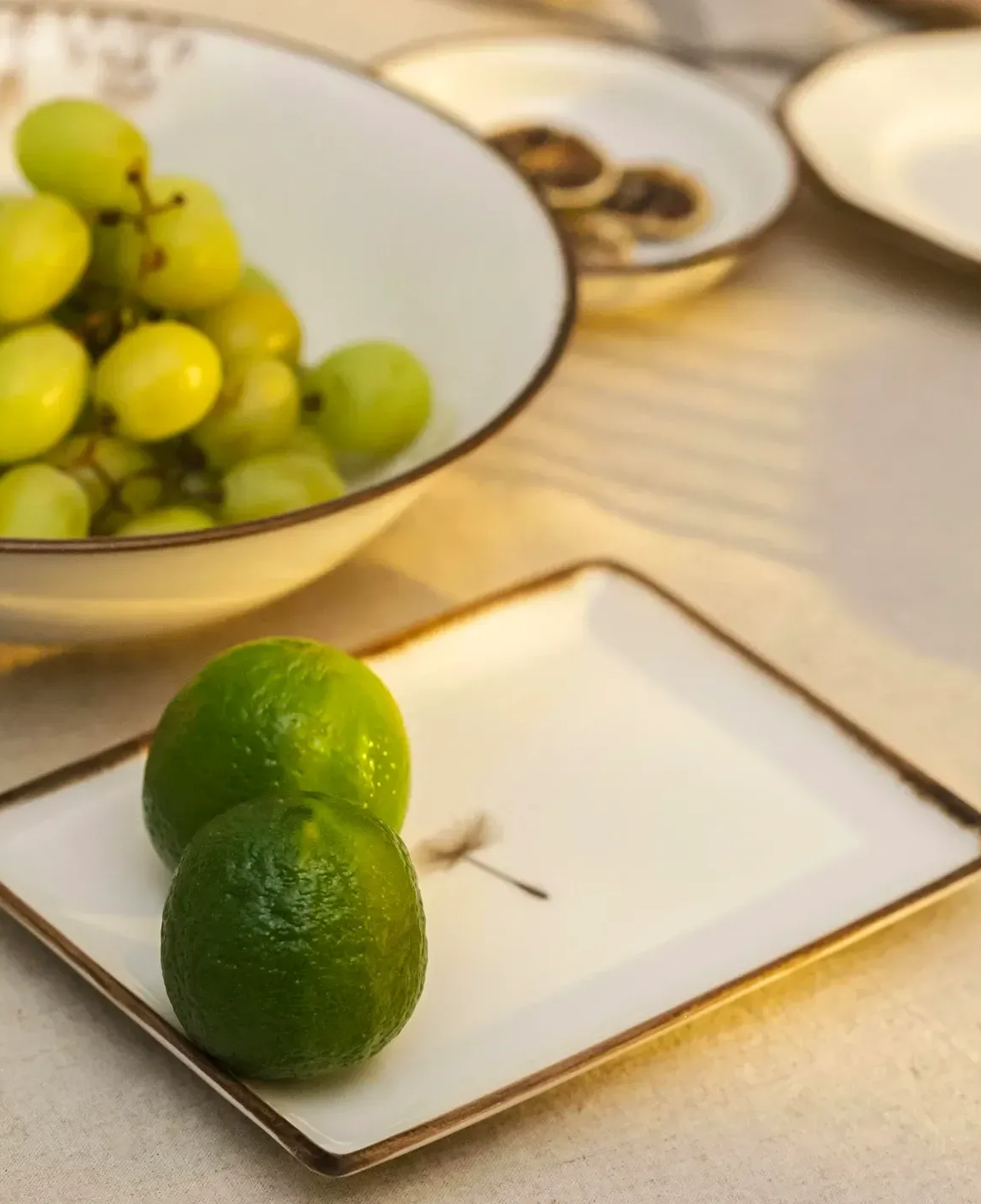 Qua Home Nash Desenli Sunum Tabağı 13x18 cm