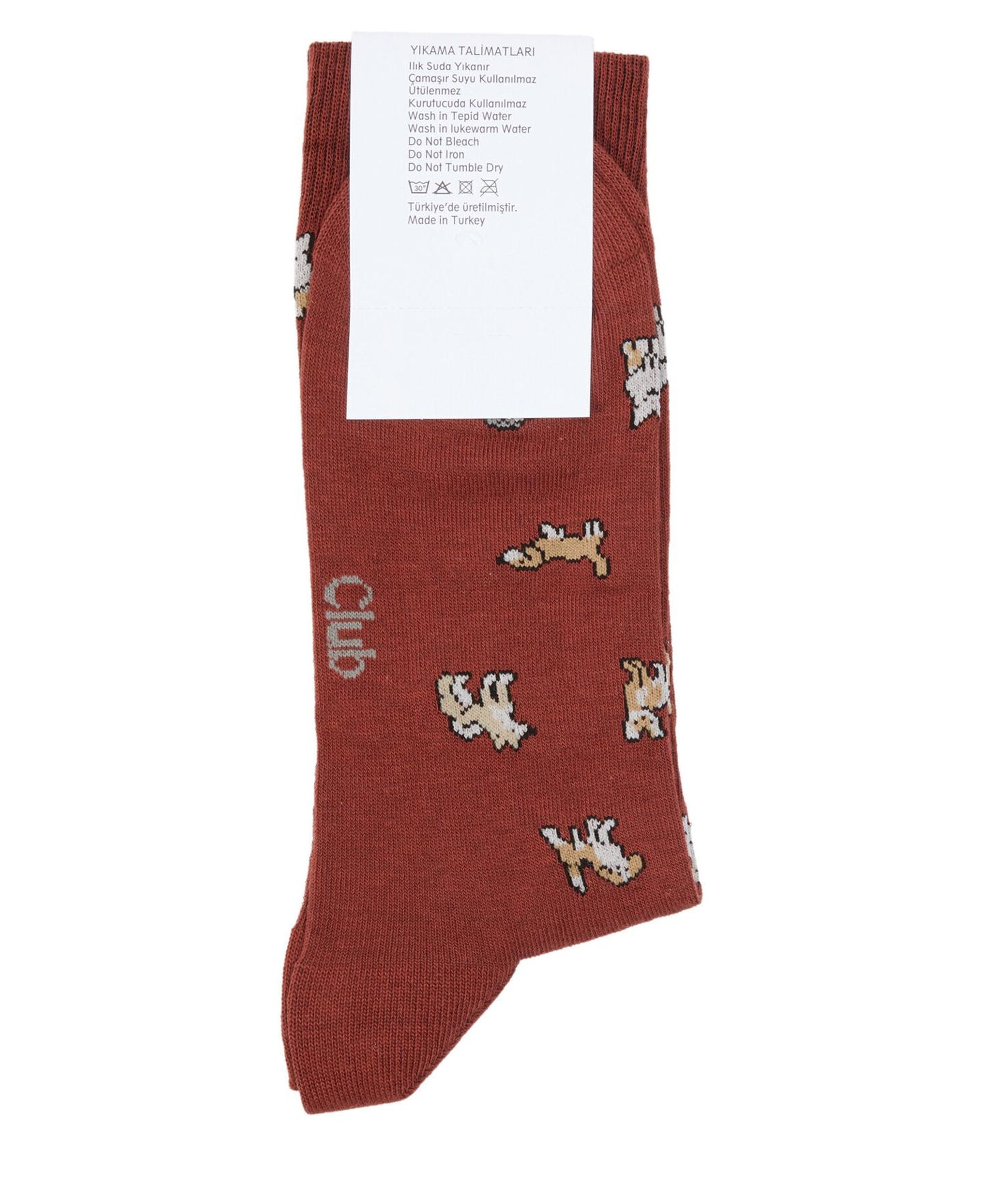 Beymen Club Erkek Bordo Köpek Desen Çorap