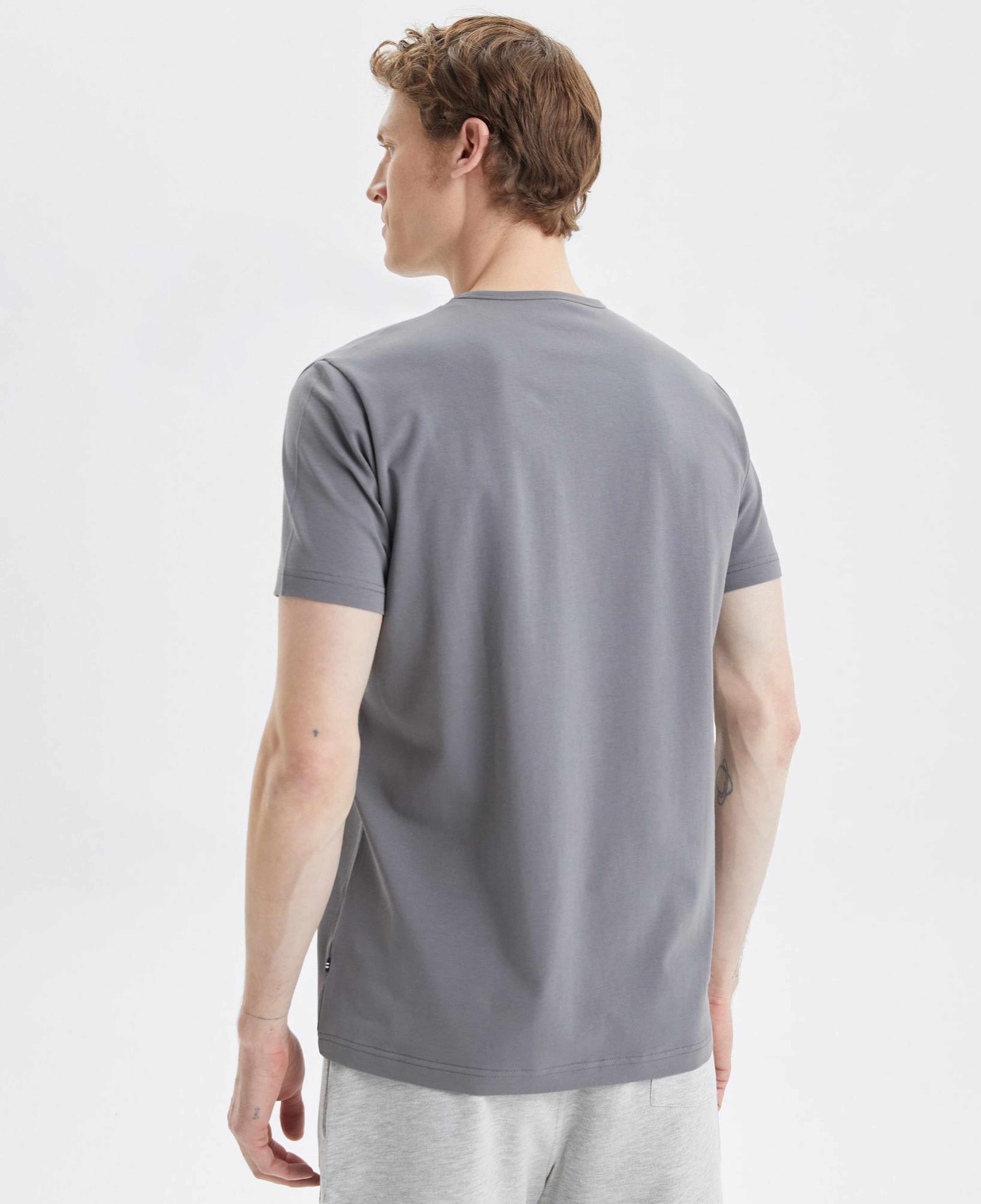 Nautica Erkek Gri T-Shirt