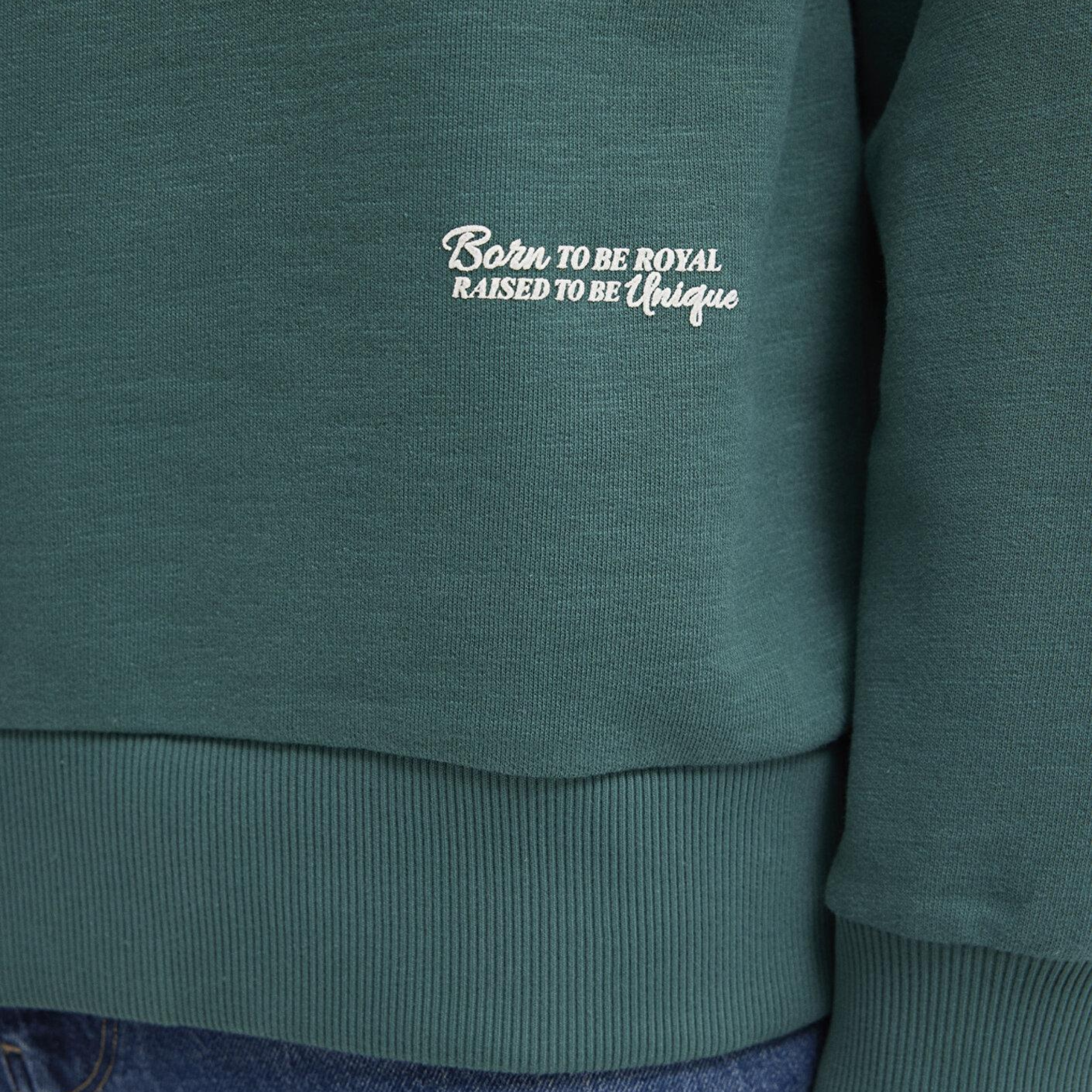 Mavi Kapüşonlu Yeşil Sweatshirt 0S10534-71930