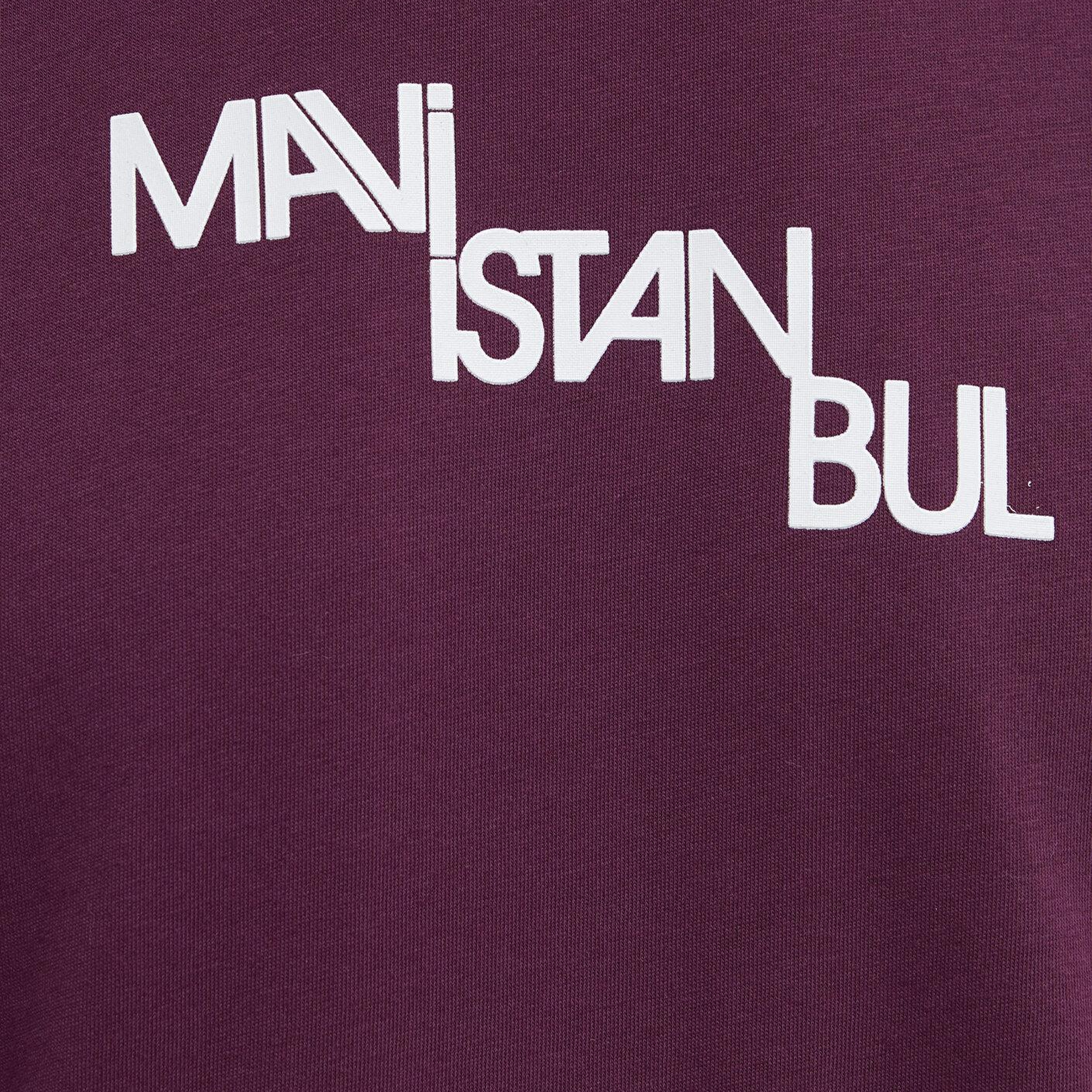 Mavi İstanbul Baskılı Mor Tişört Regular Fit / Normal Kesim 0612274-70670