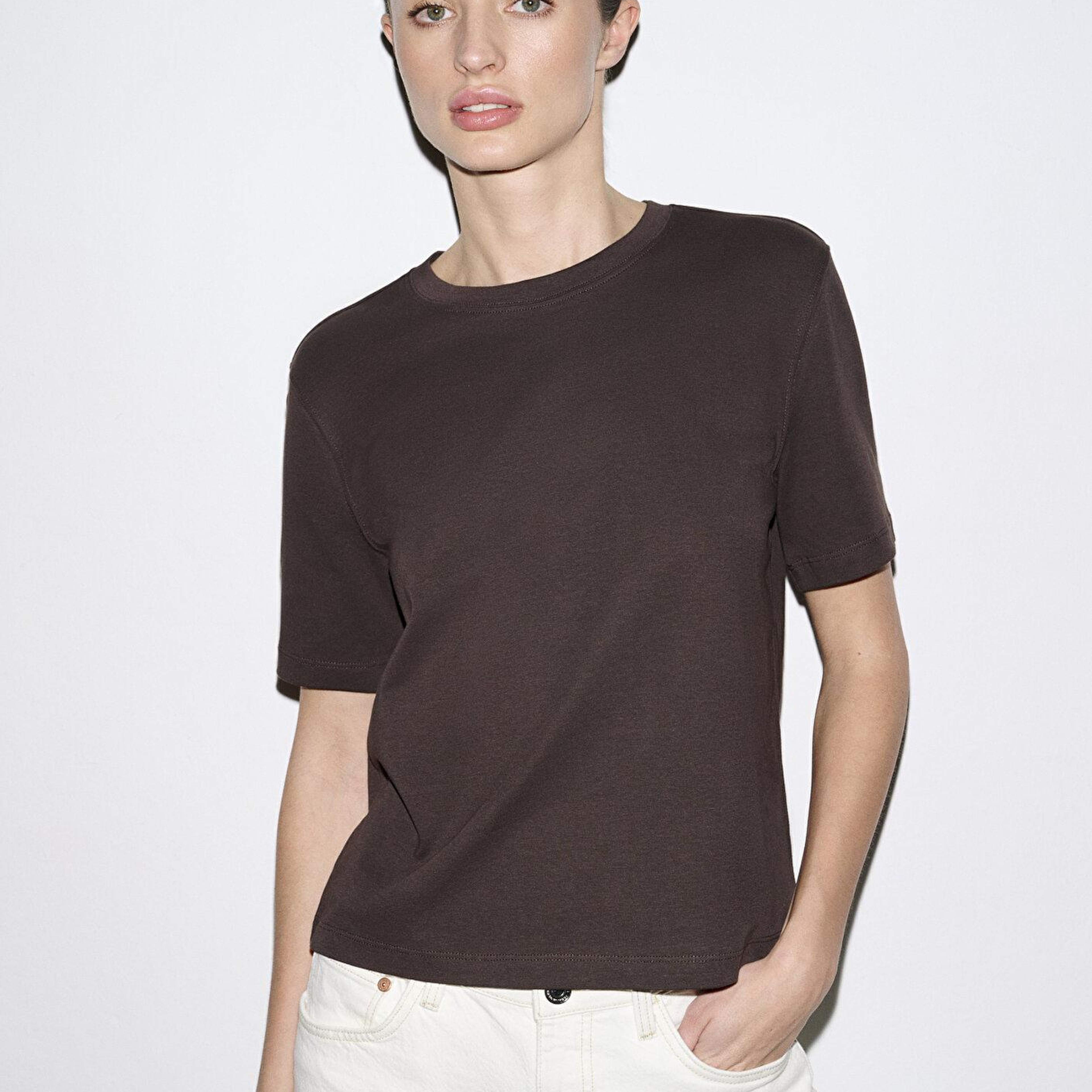 Mavi Kahverengi Basic İnterlok Tişört Semi Slim Fit / Yarı Dar Kesim 1613588-71603