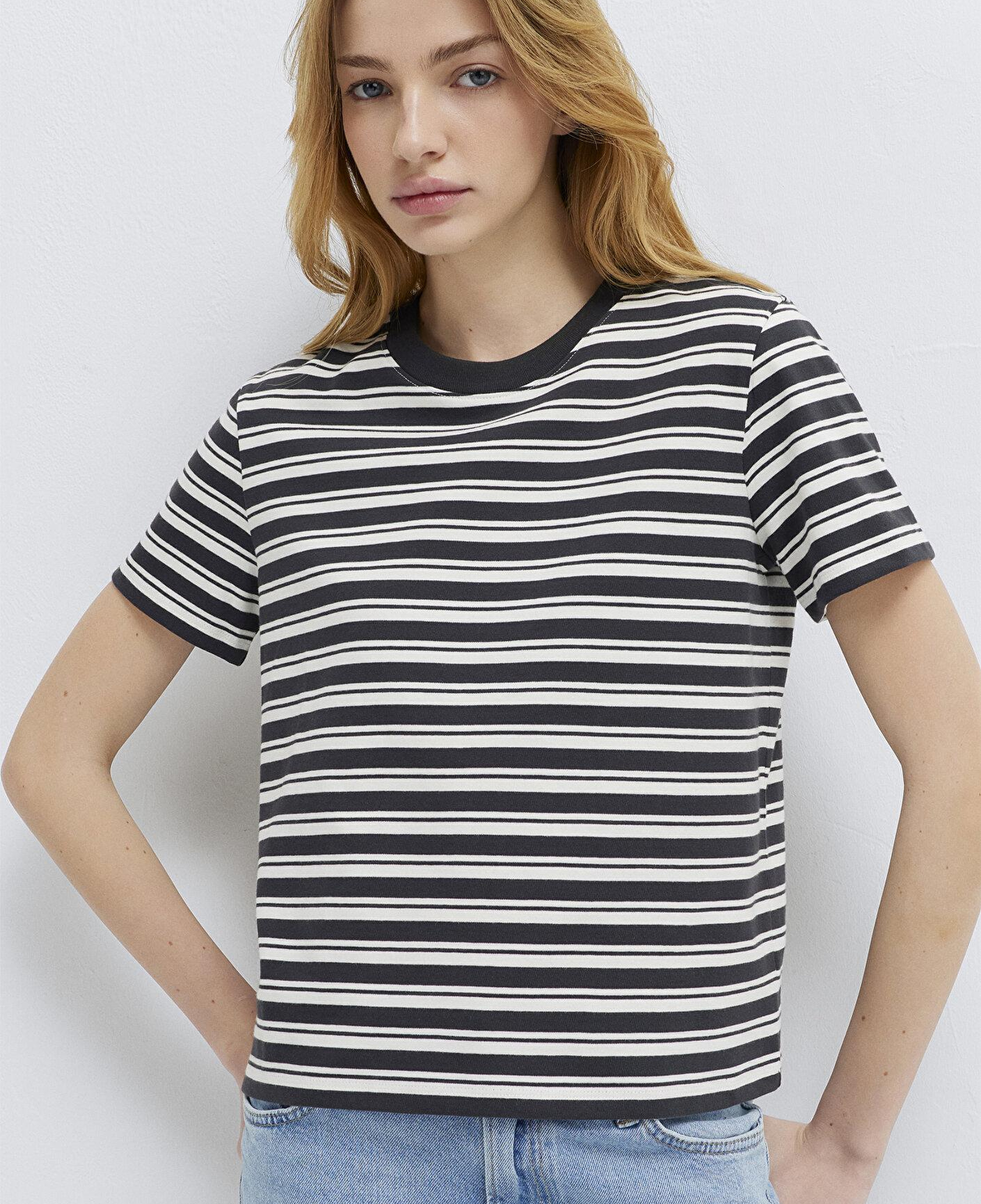 Mavi Çizgili Antrasit Tişört Slim Fit / Dar Kesim 1614216-85308