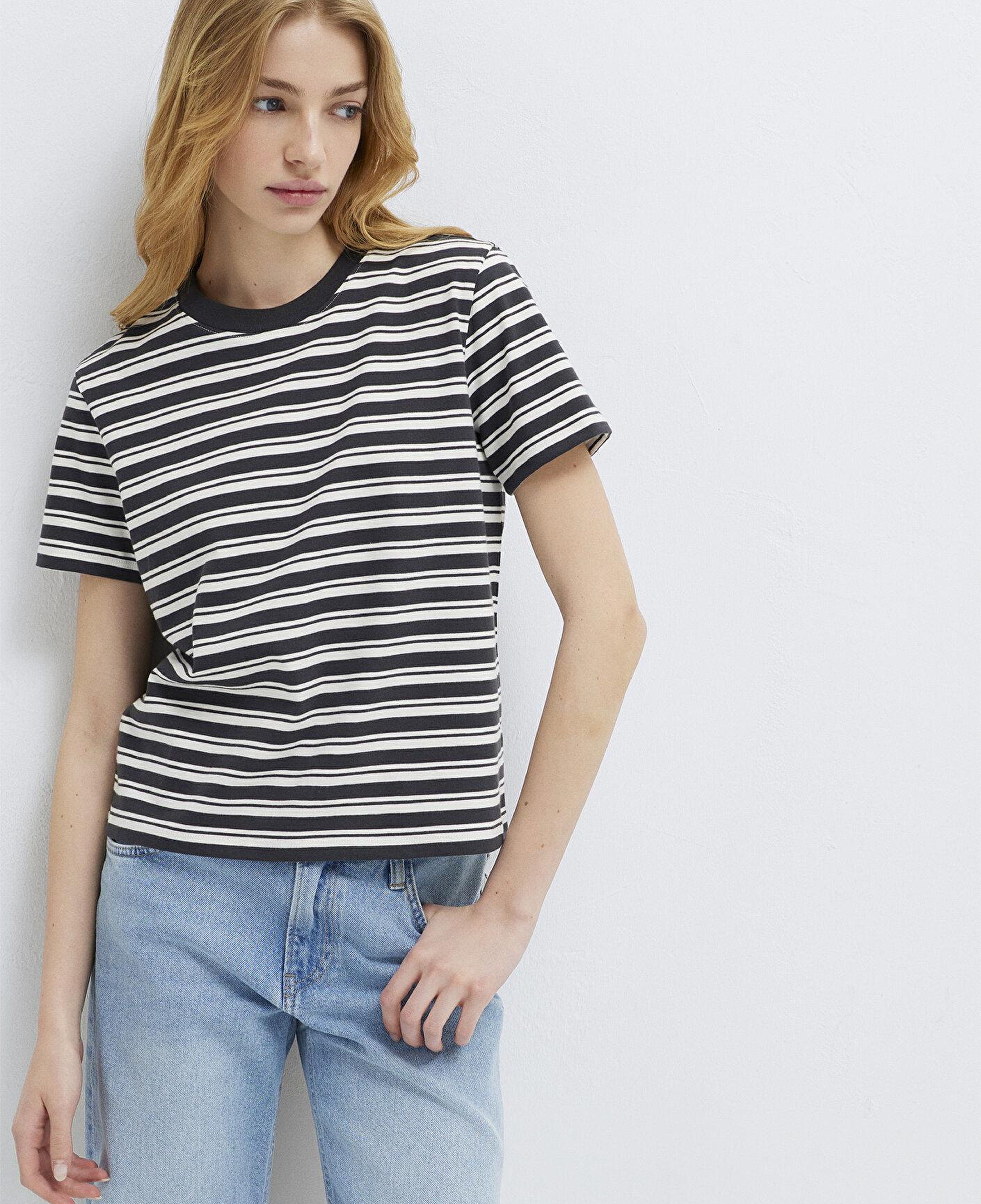Mavi Çizgili Antrasit Tişört Slim Fit / Dar Kesim 1614216-85308