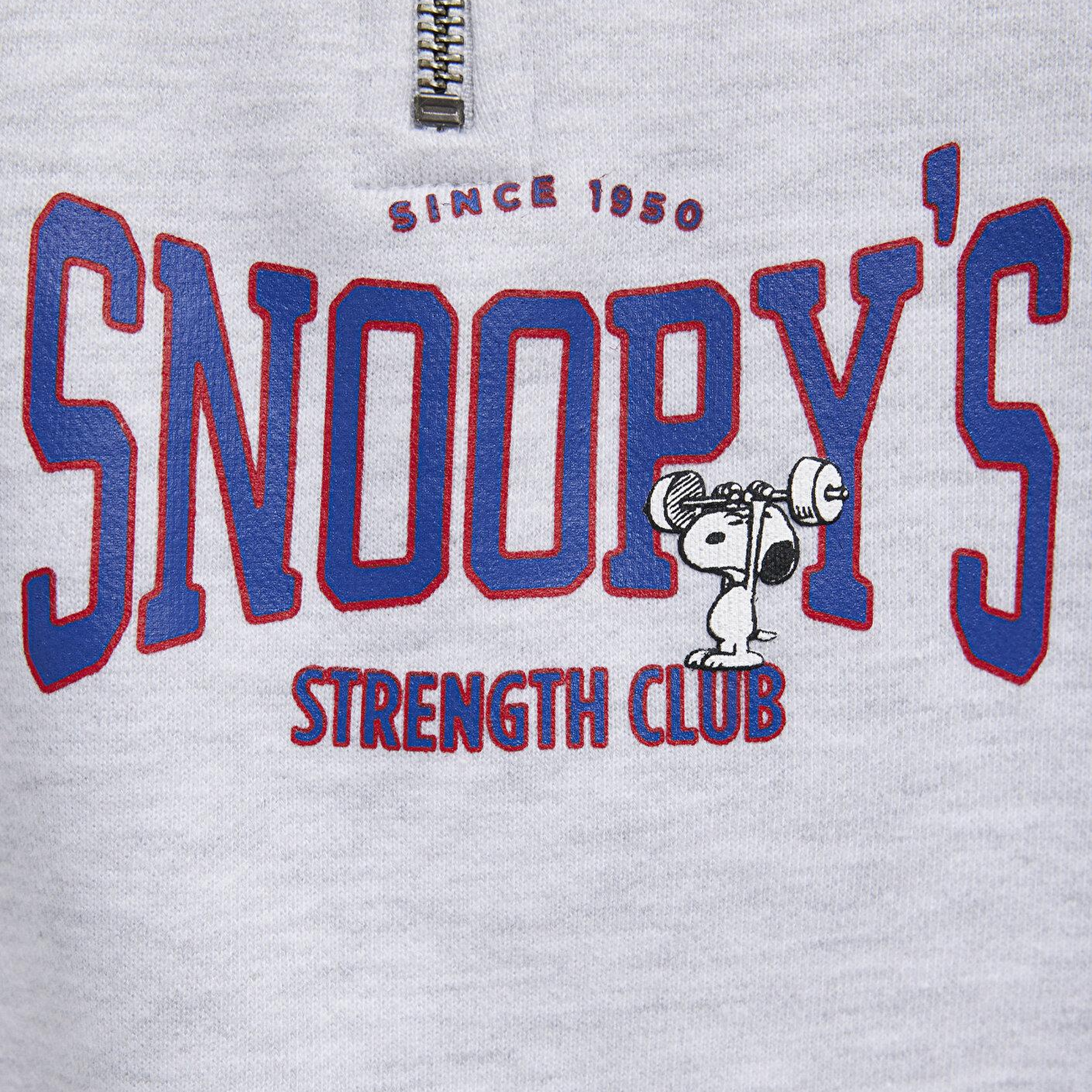 Mavi Peanuts Baskılı Gri Sweatshirt 1S10529-80196
