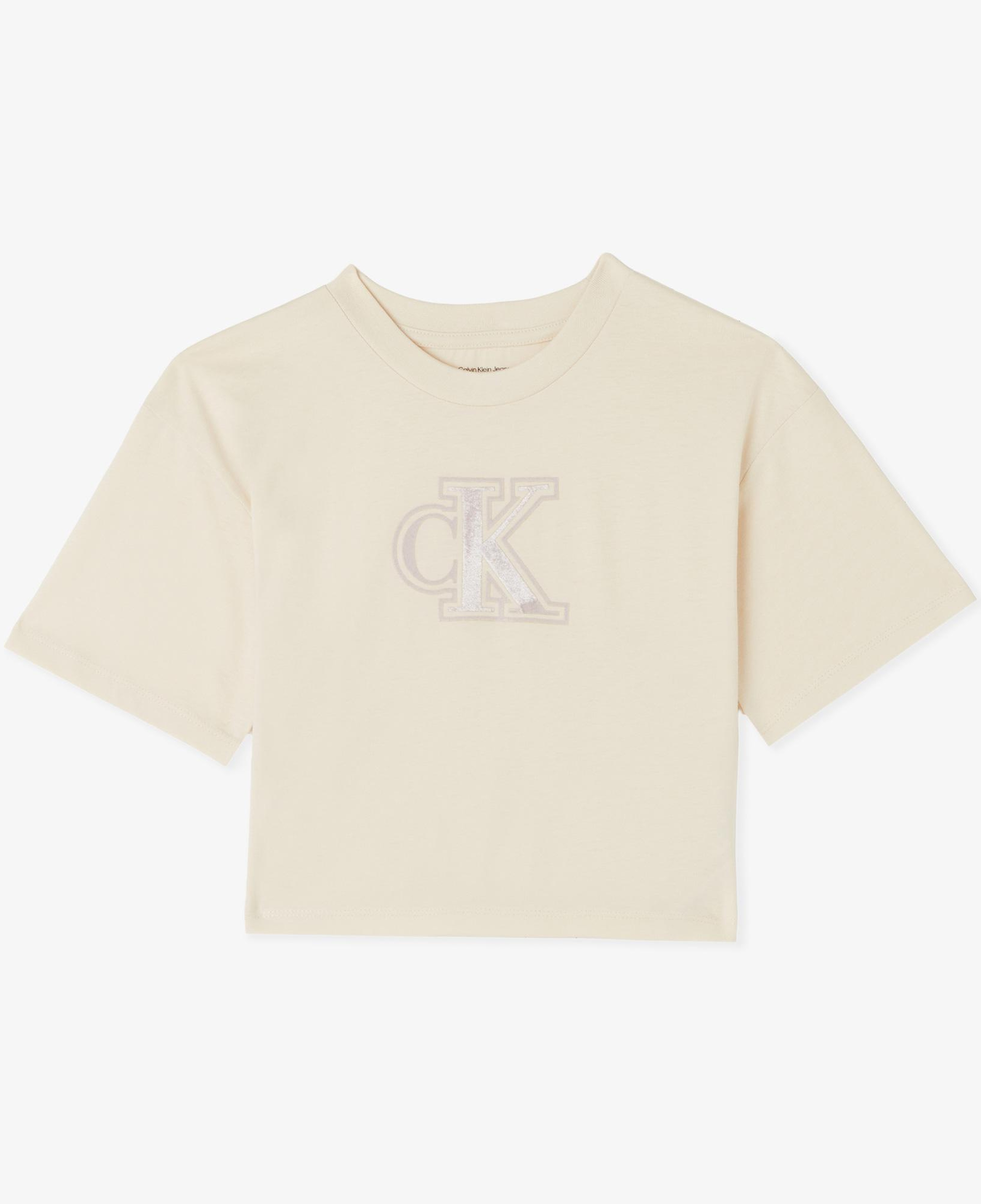 Calvin Klein Velvet Monogram Boxy Çocuk Gri T-Shirt