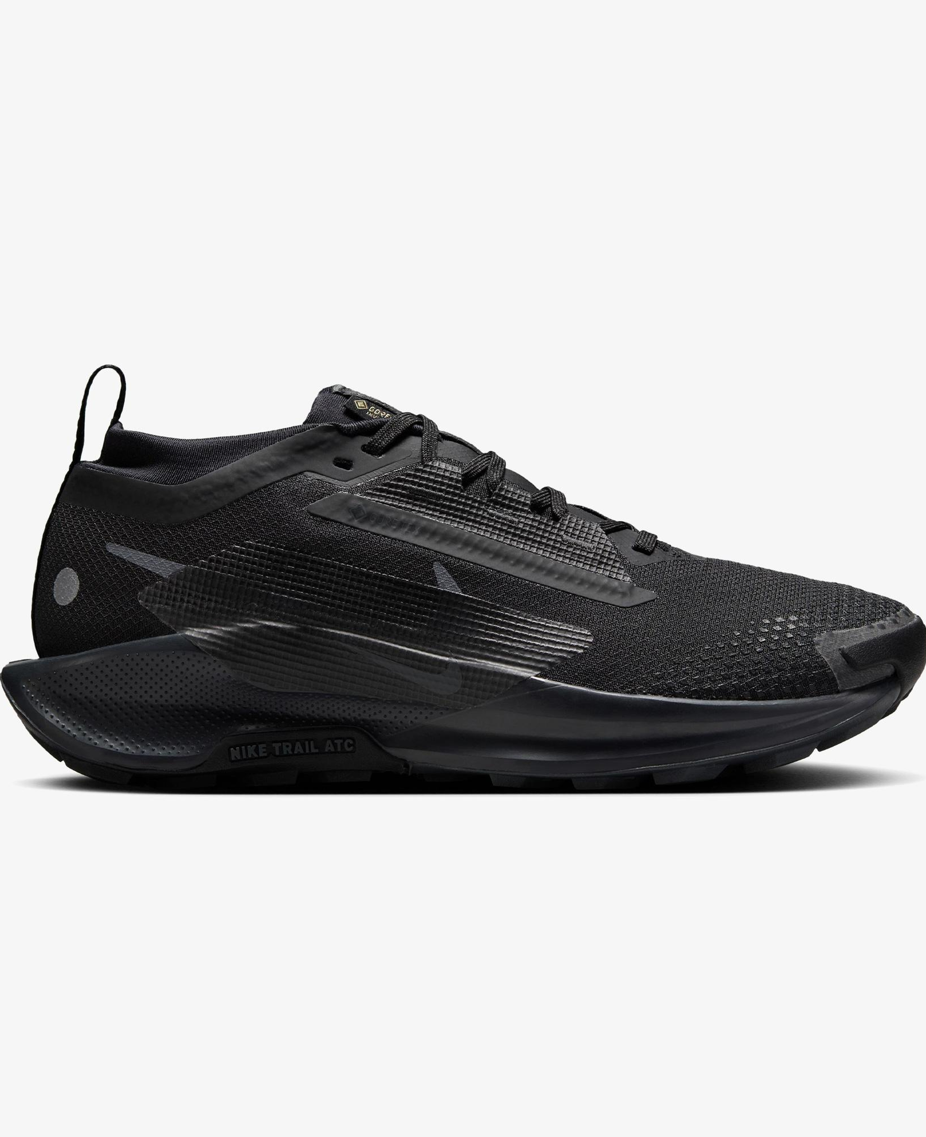 Nike Pegasus Trail 5 Gore-Tex Kadın Siyah Koşu Ayakkabısı