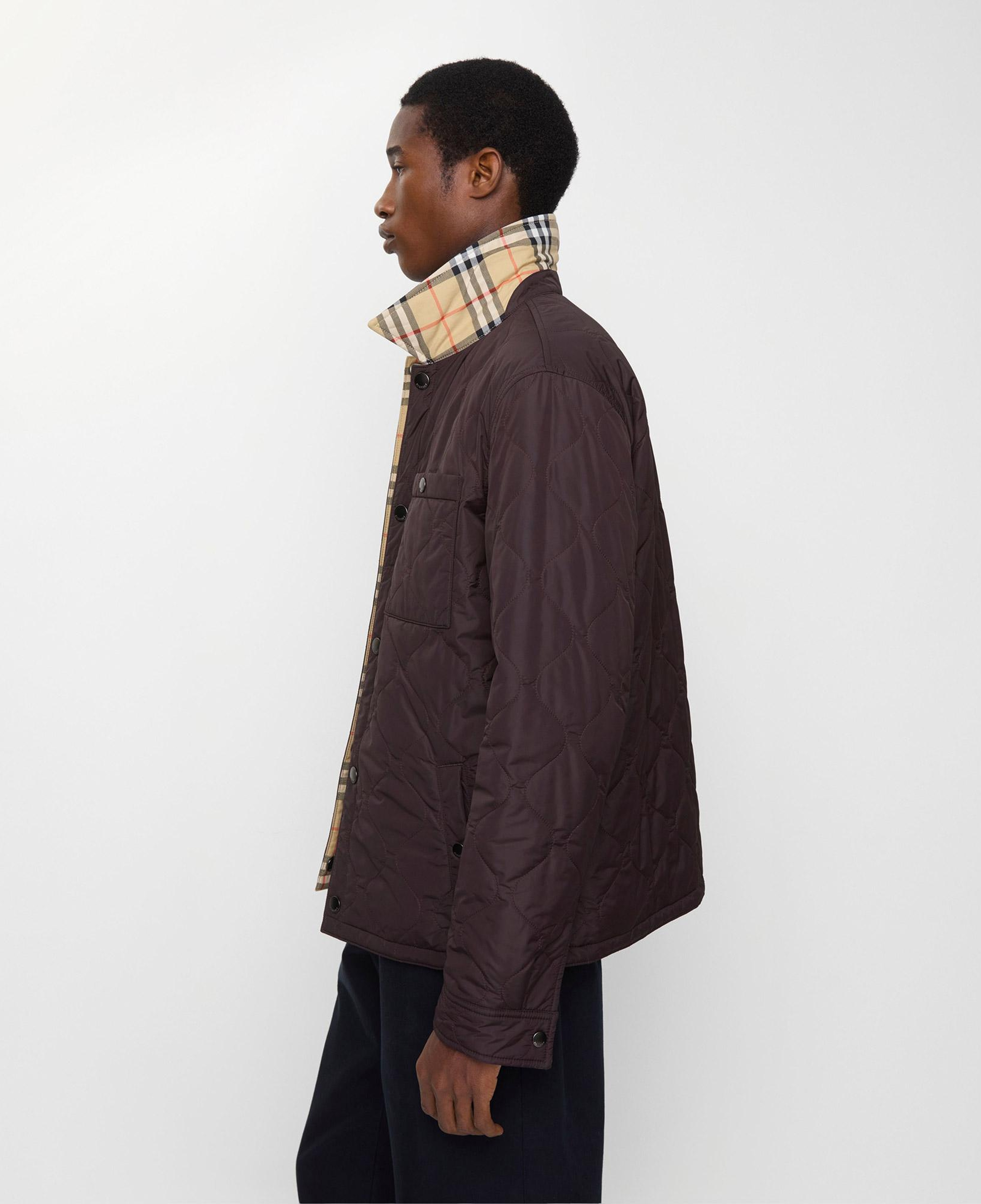 Burberry Brighton Erkek Kahverengi Mont