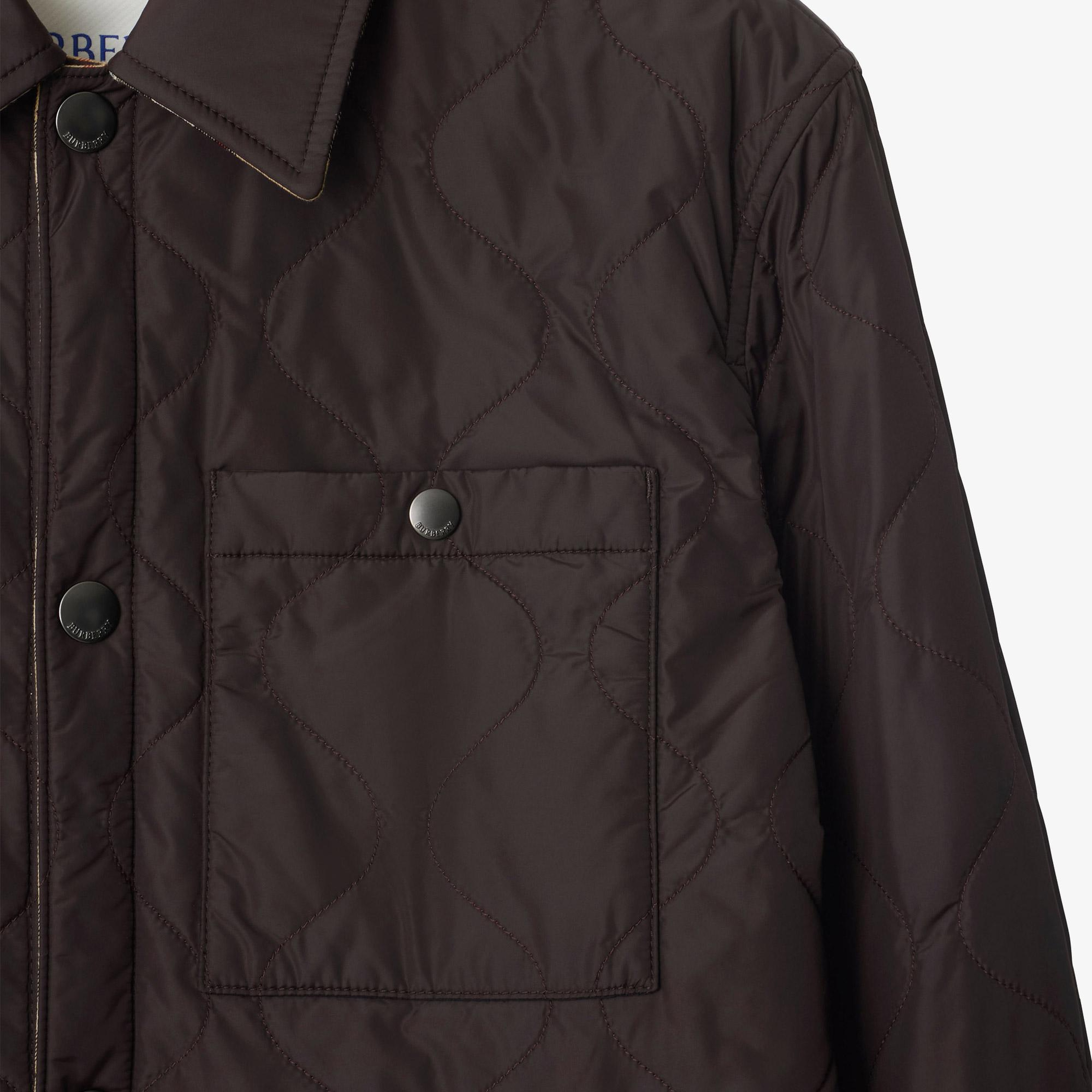 Burberry Brighton Erkek Kahverengi Mont
