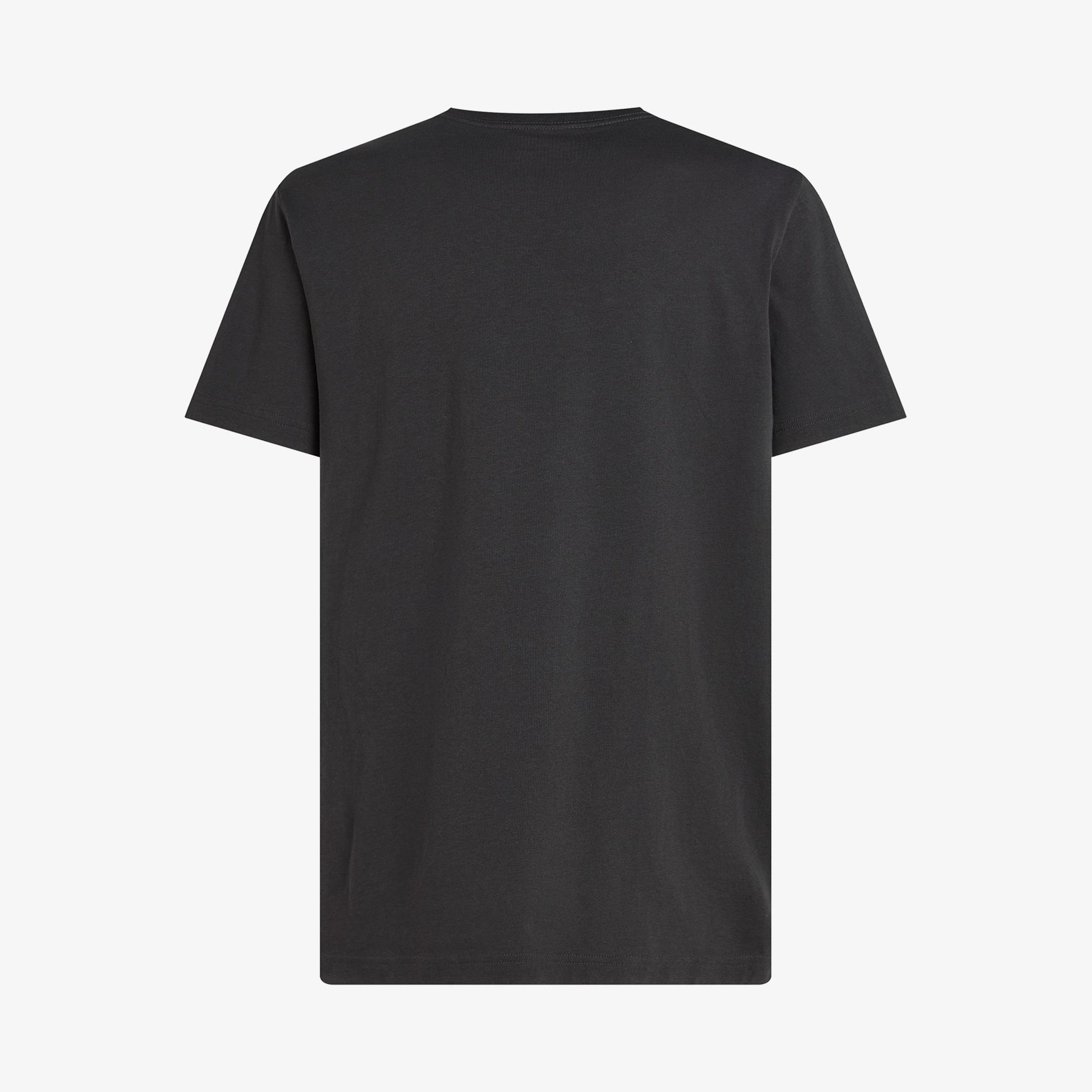 Calvin Klein Label Print Erkek Siyah T-Shirt