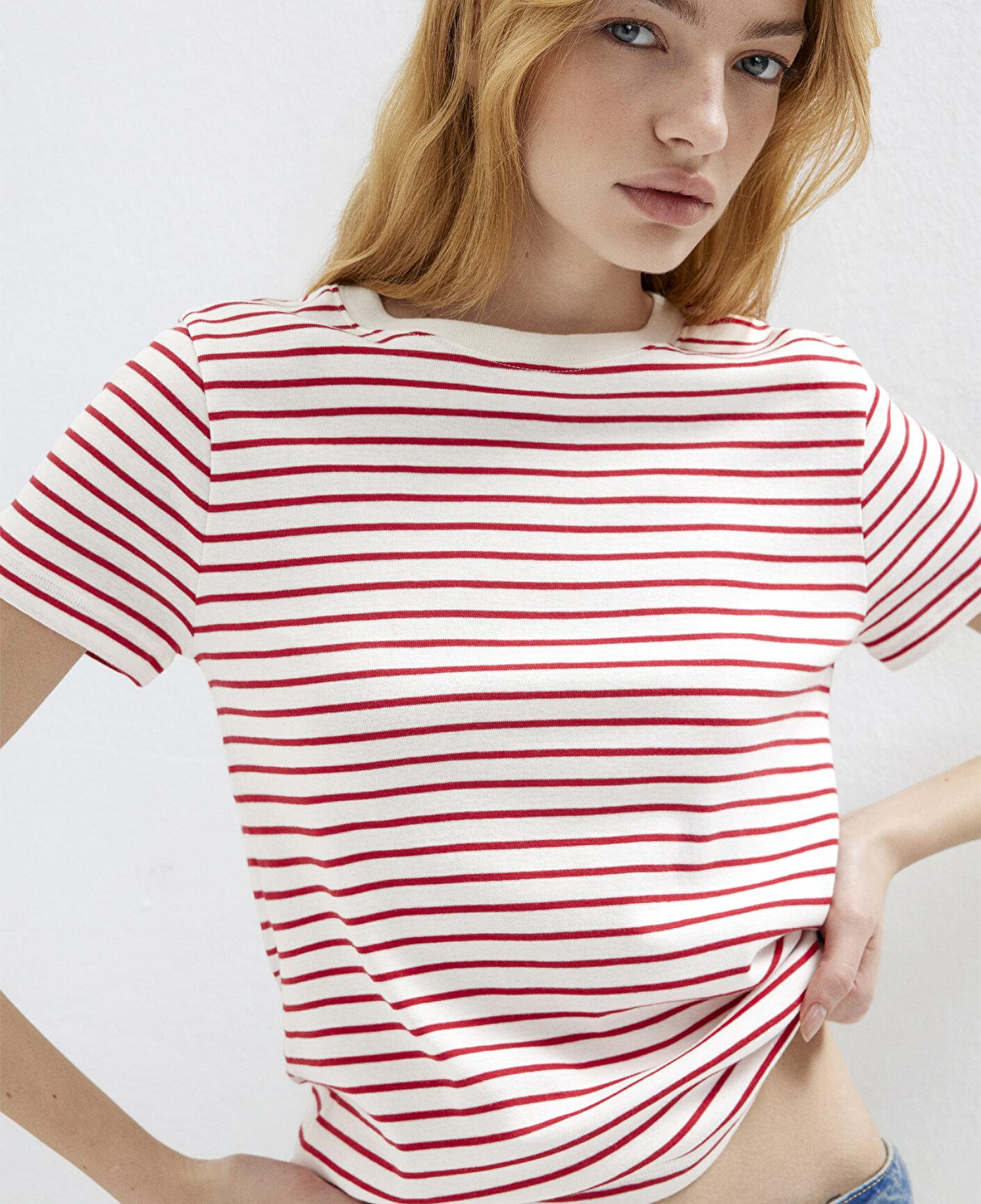 Mavi Bisiklet Yaka Çizgili Kırmızı Tişört Slim Fit / Dar Kesim 1612881-86680