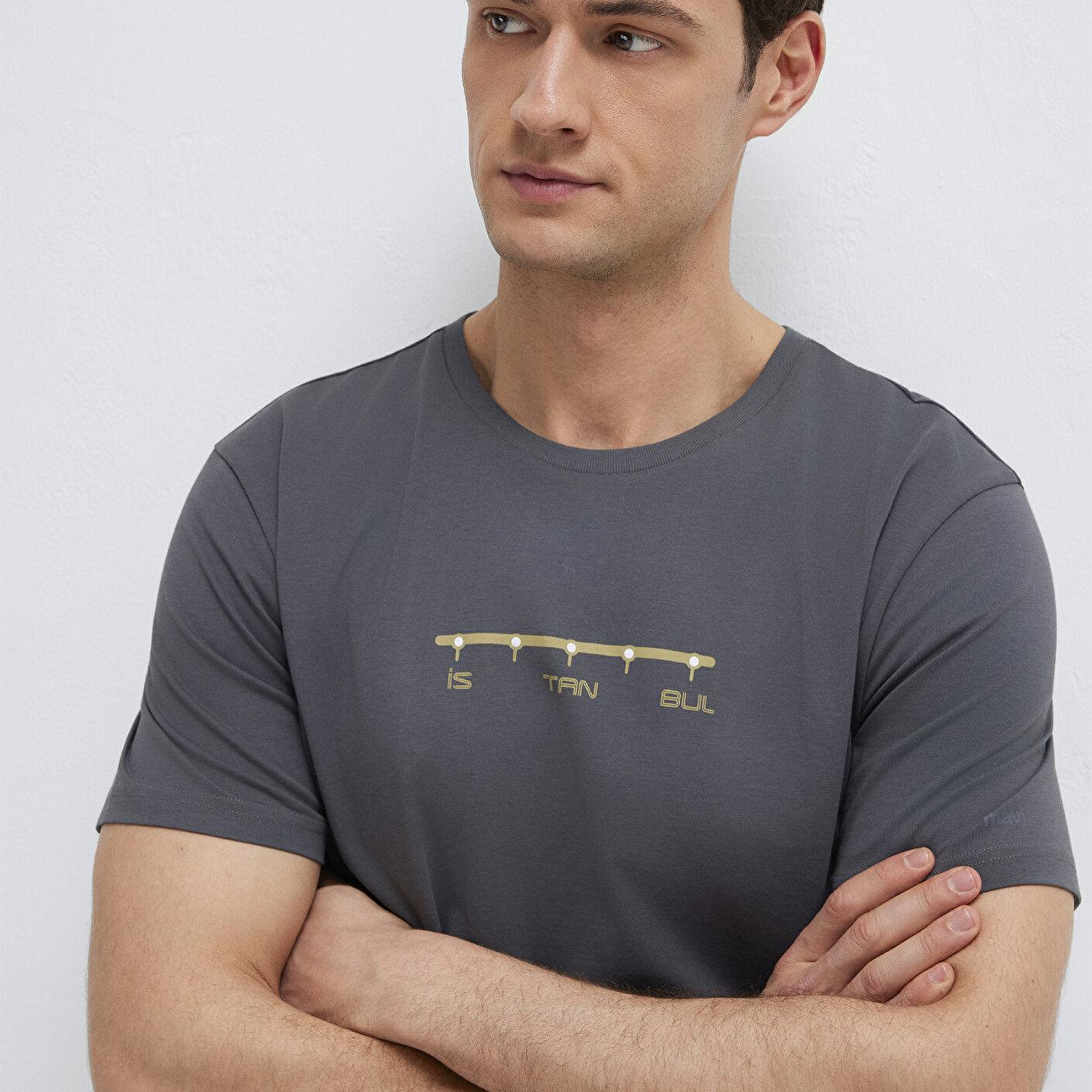 Mavi İstanbul Baskılı Gri Tişört Regular Fit / Normal Kesim 0612452-85309