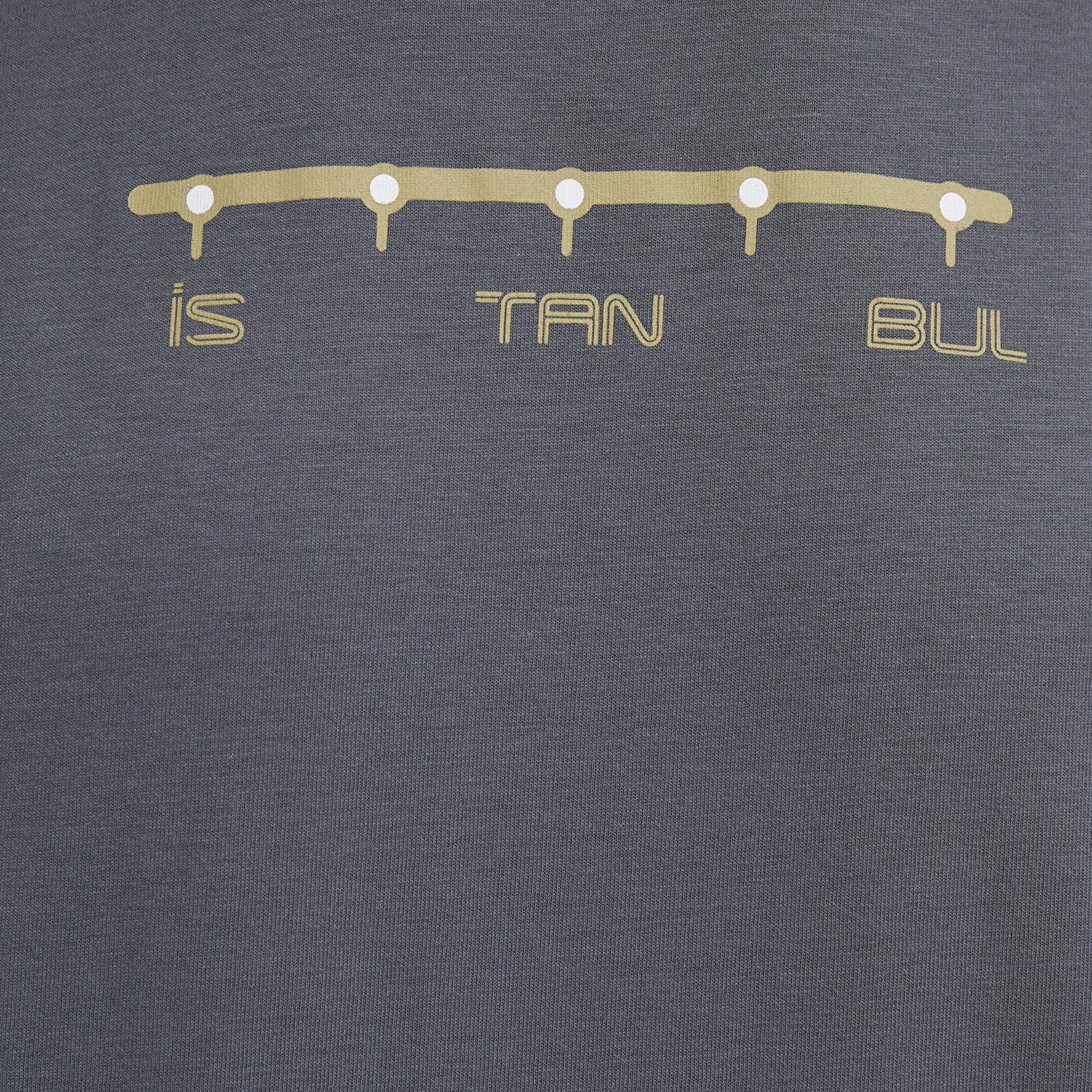 Mavi İstanbul Baskılı Gri Tişört Regular Fit / Normal Kesim 0612452-85309